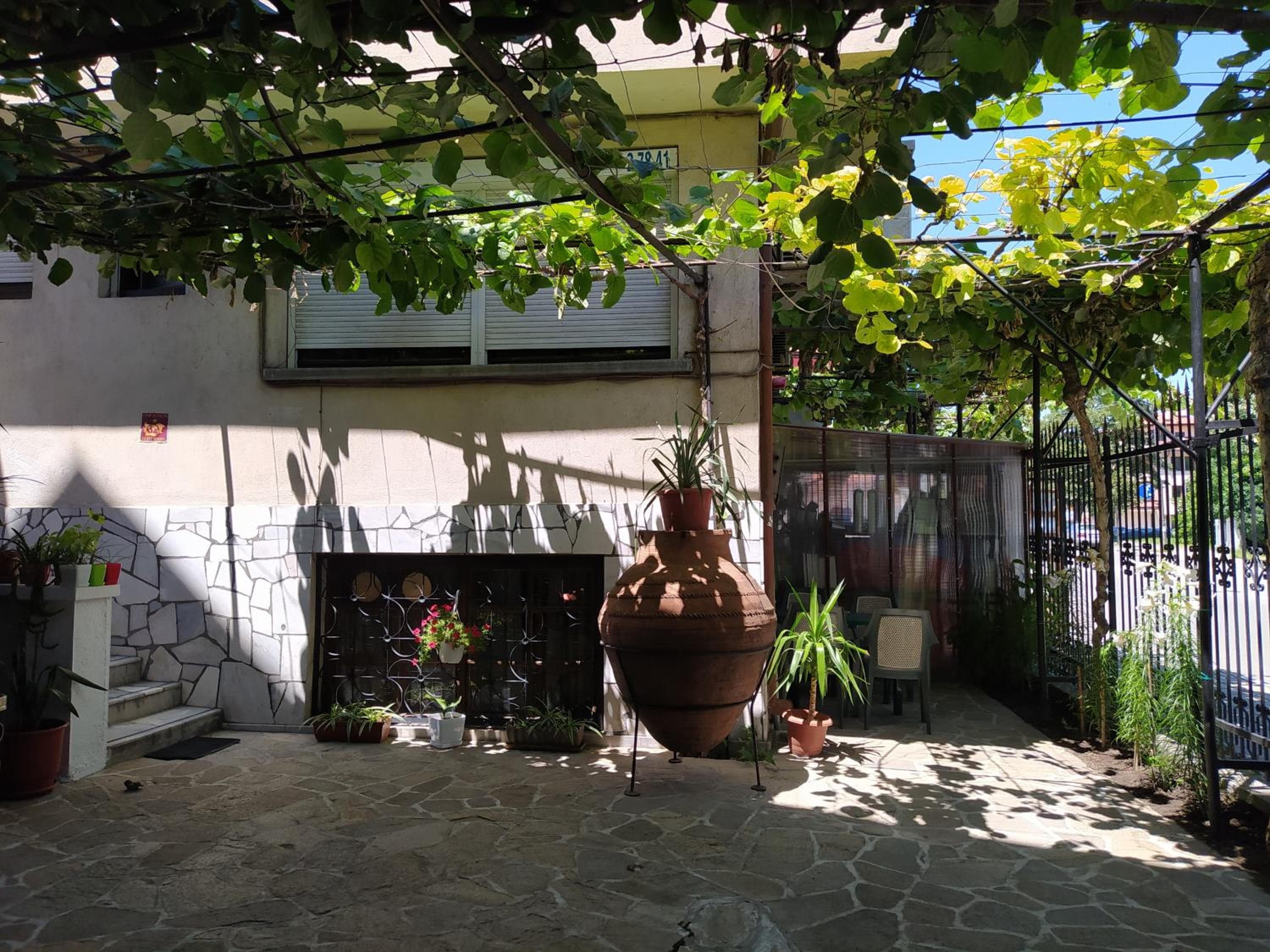 Photo 6