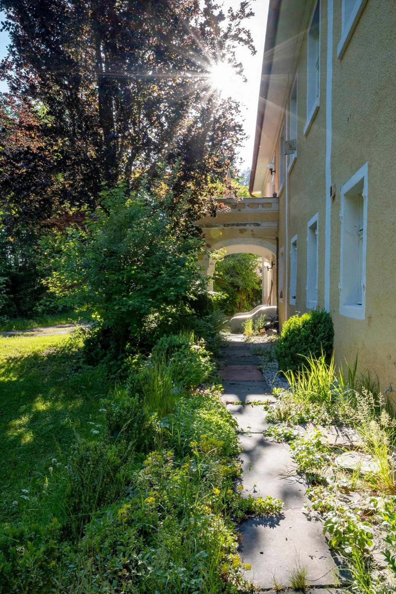 Photo 17