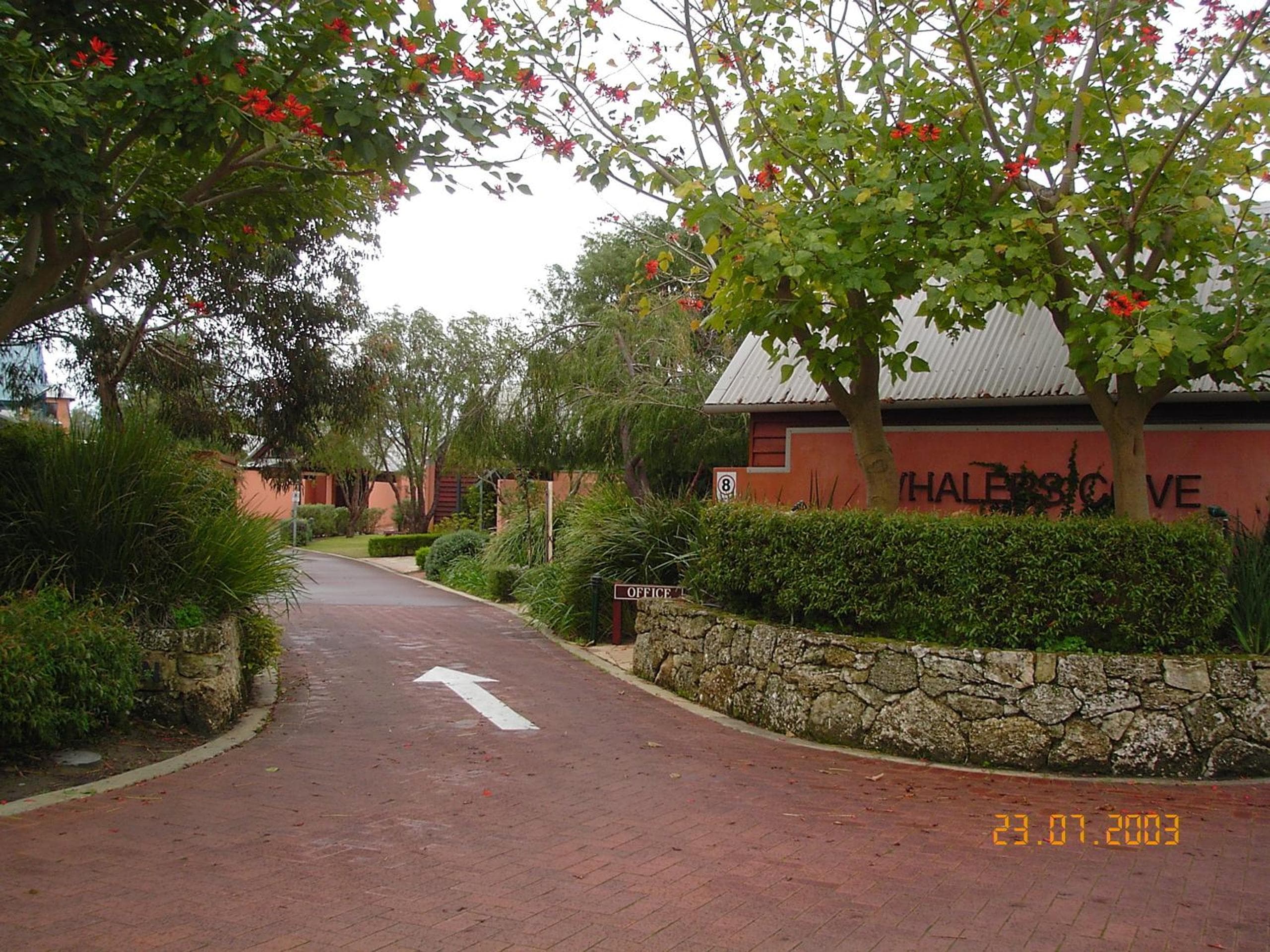 Photo 42
