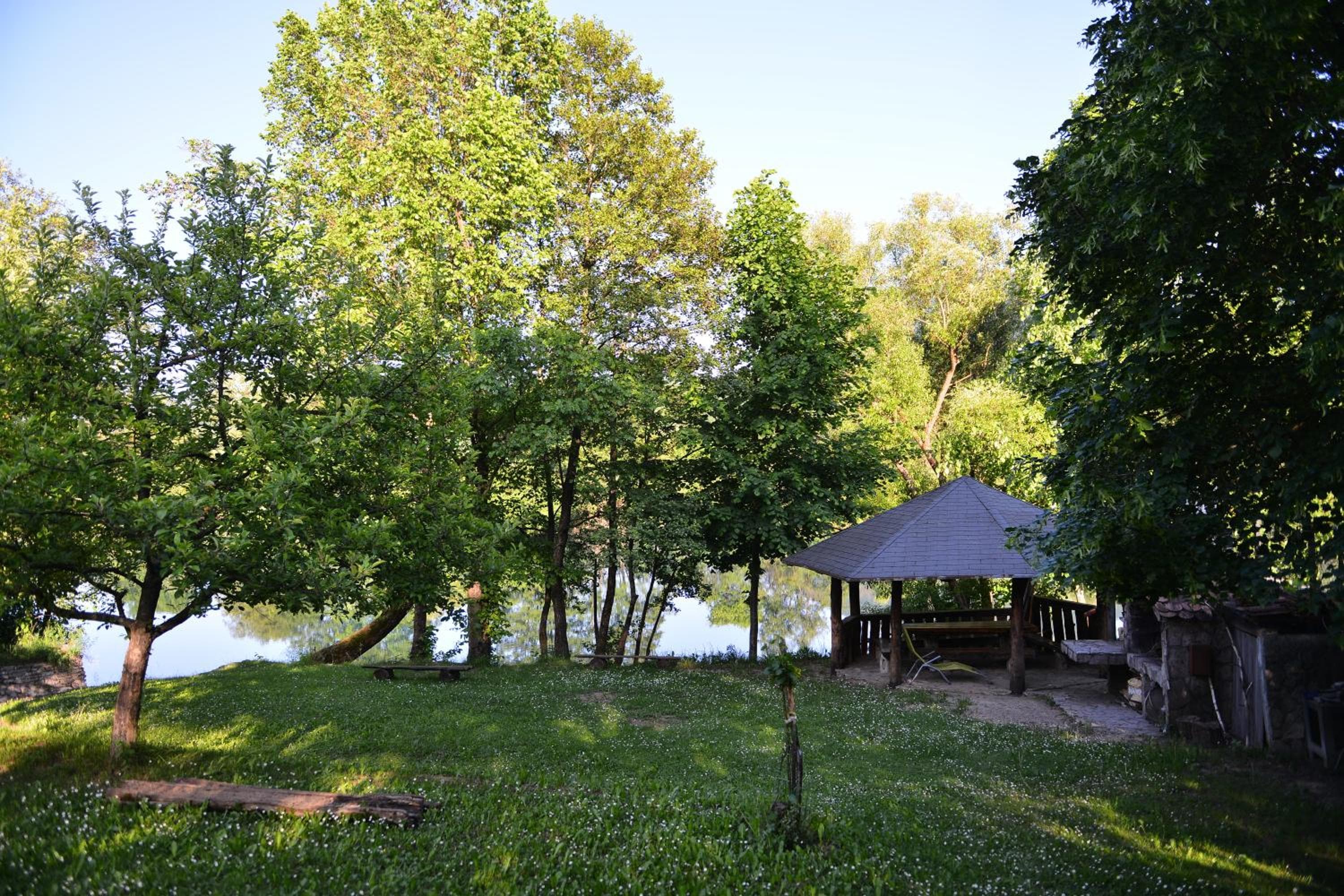 Photo 41