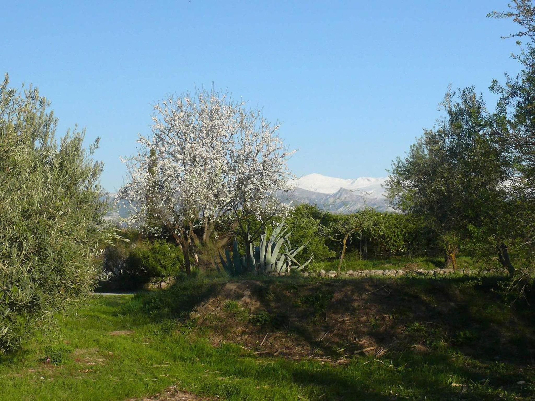 Photo 14
