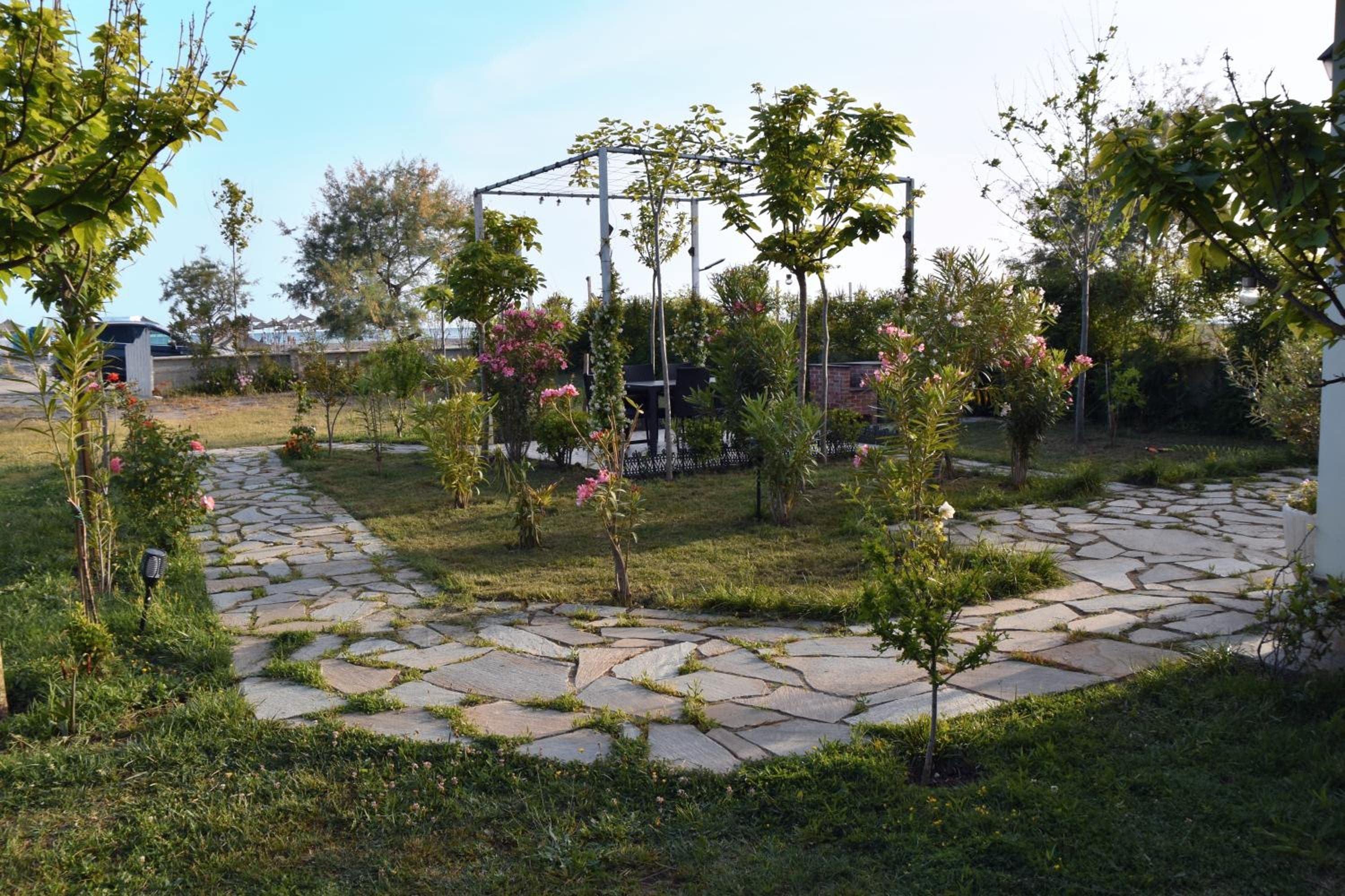 Photo 14