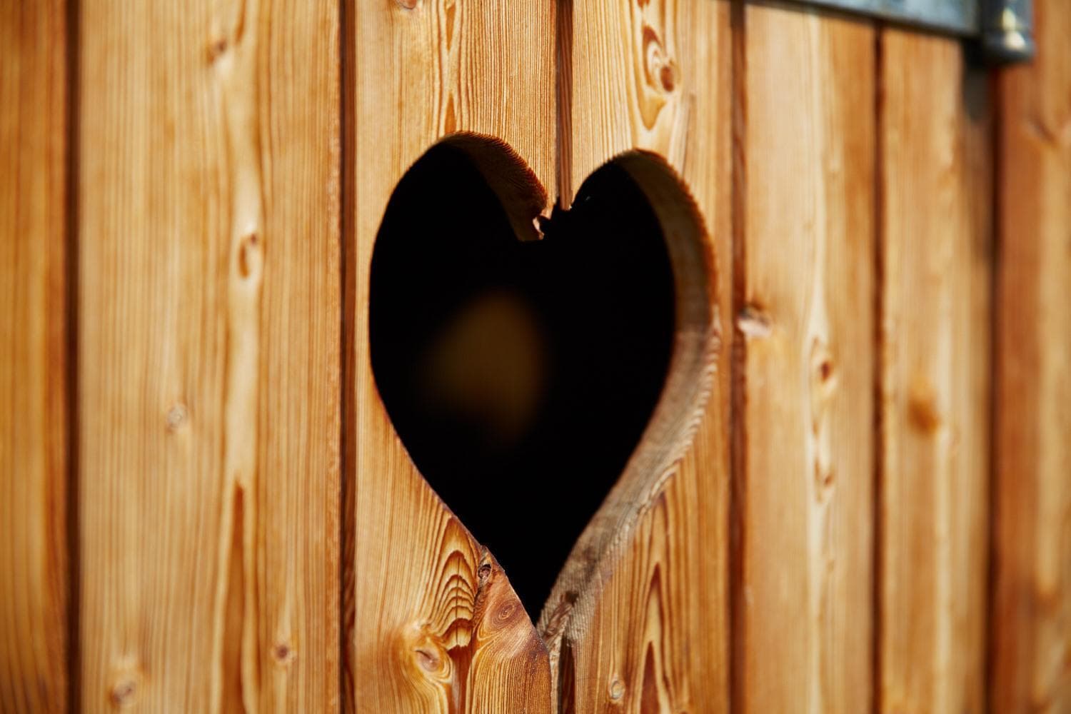 Photo 56