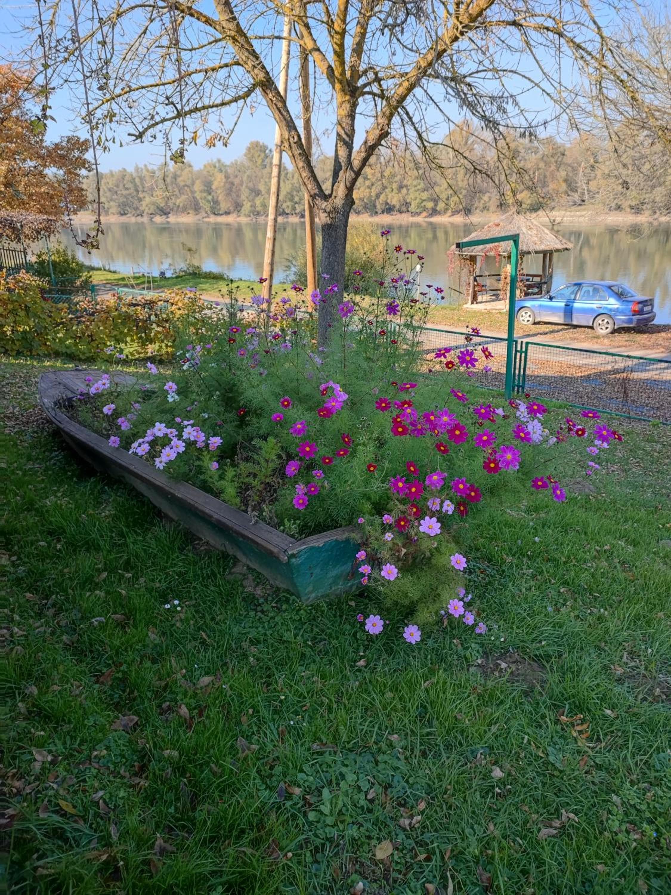 Photo 19