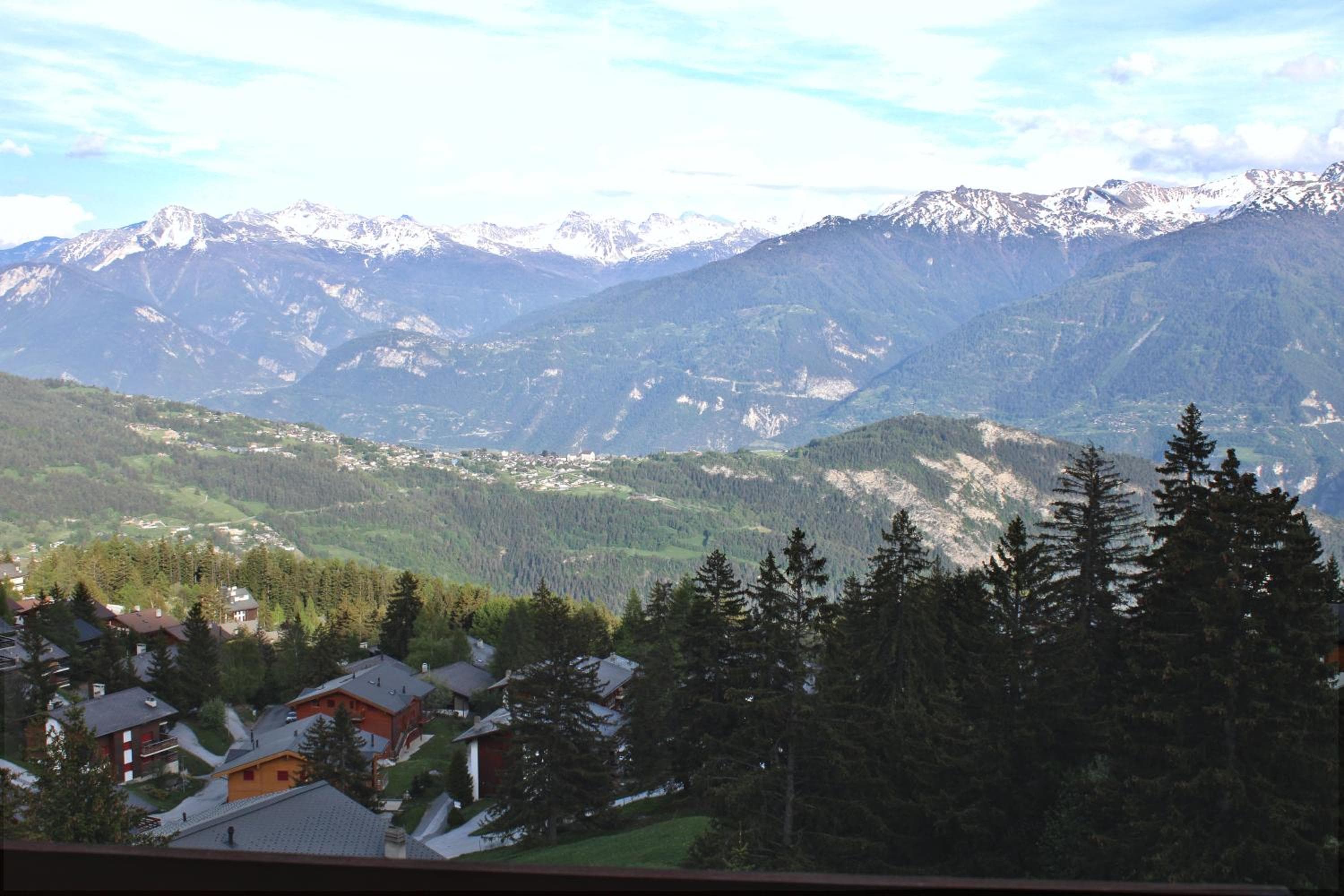 Photo 12