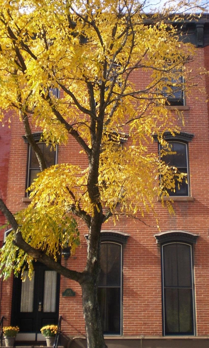 Photo 36