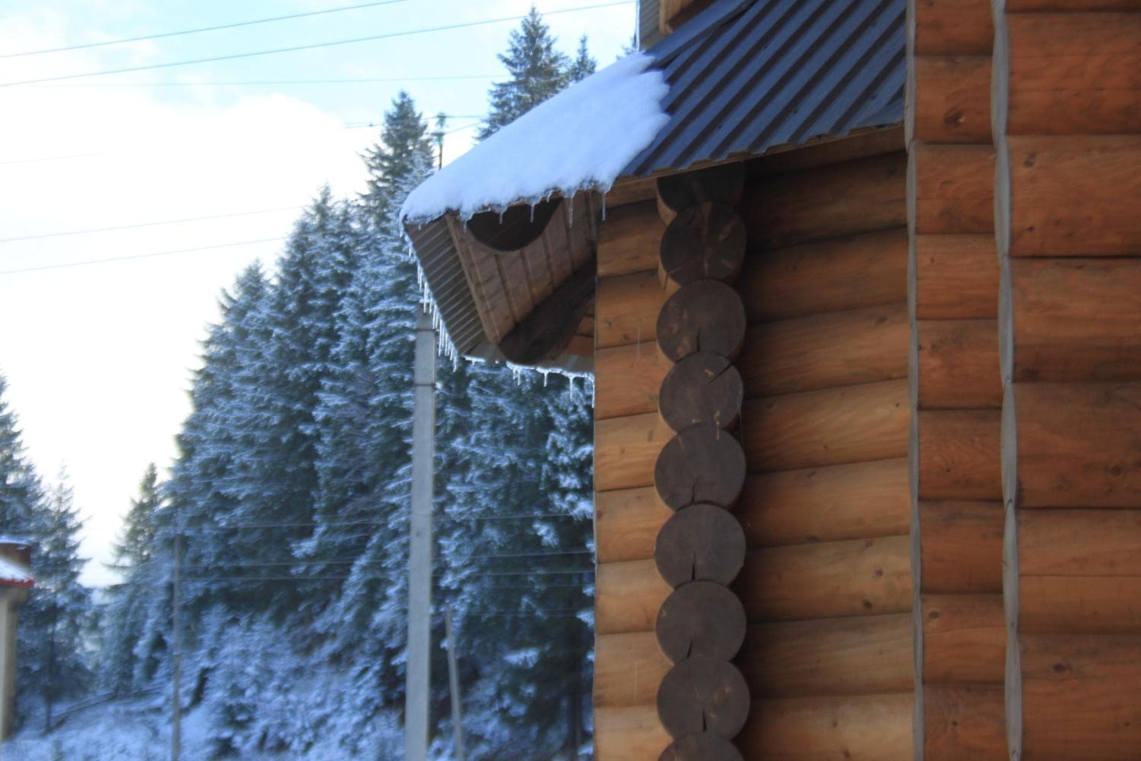 Photo 41