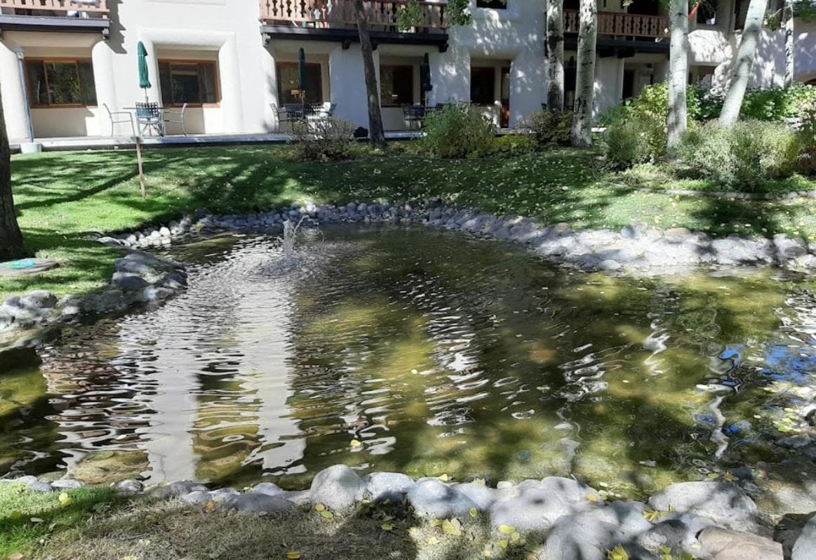 Photo 21