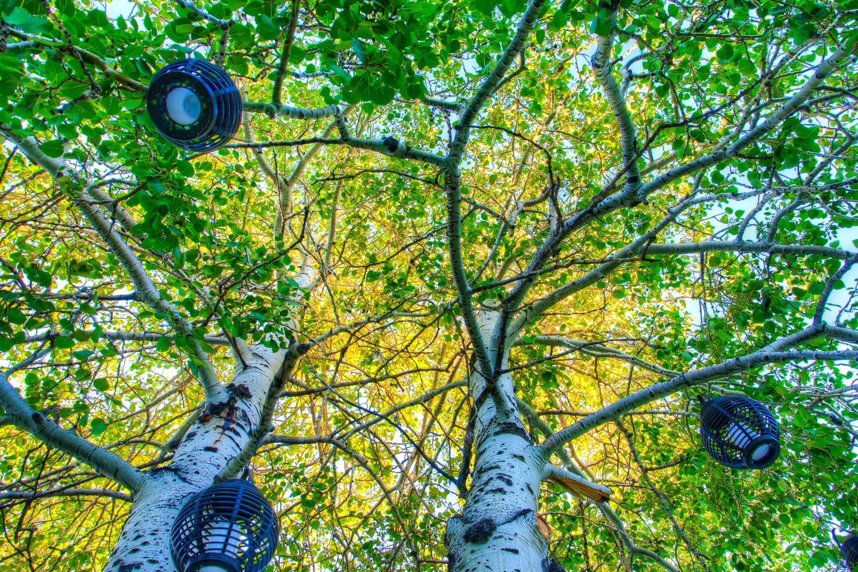 Photo 93