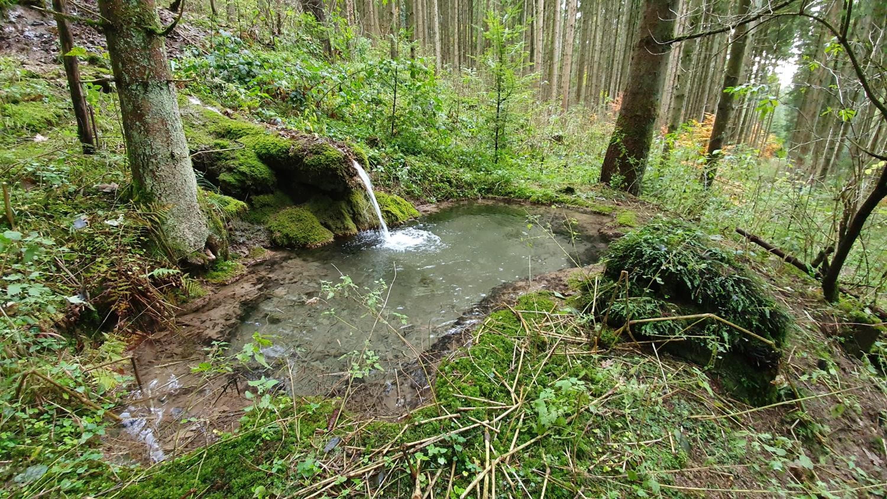 Photo 17