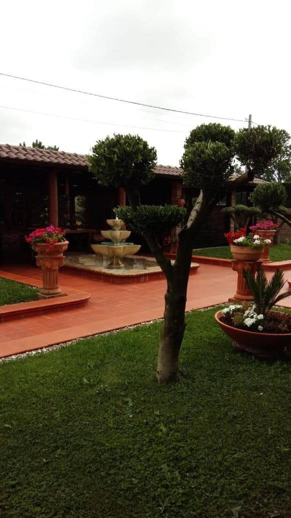Photo 41