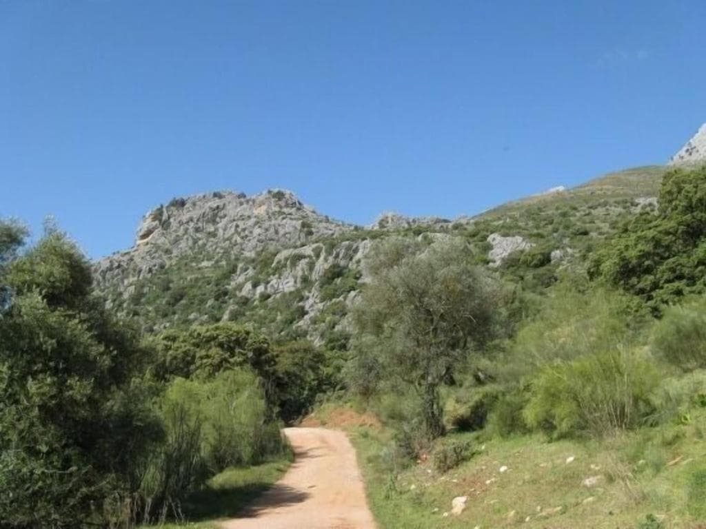 Photo 34