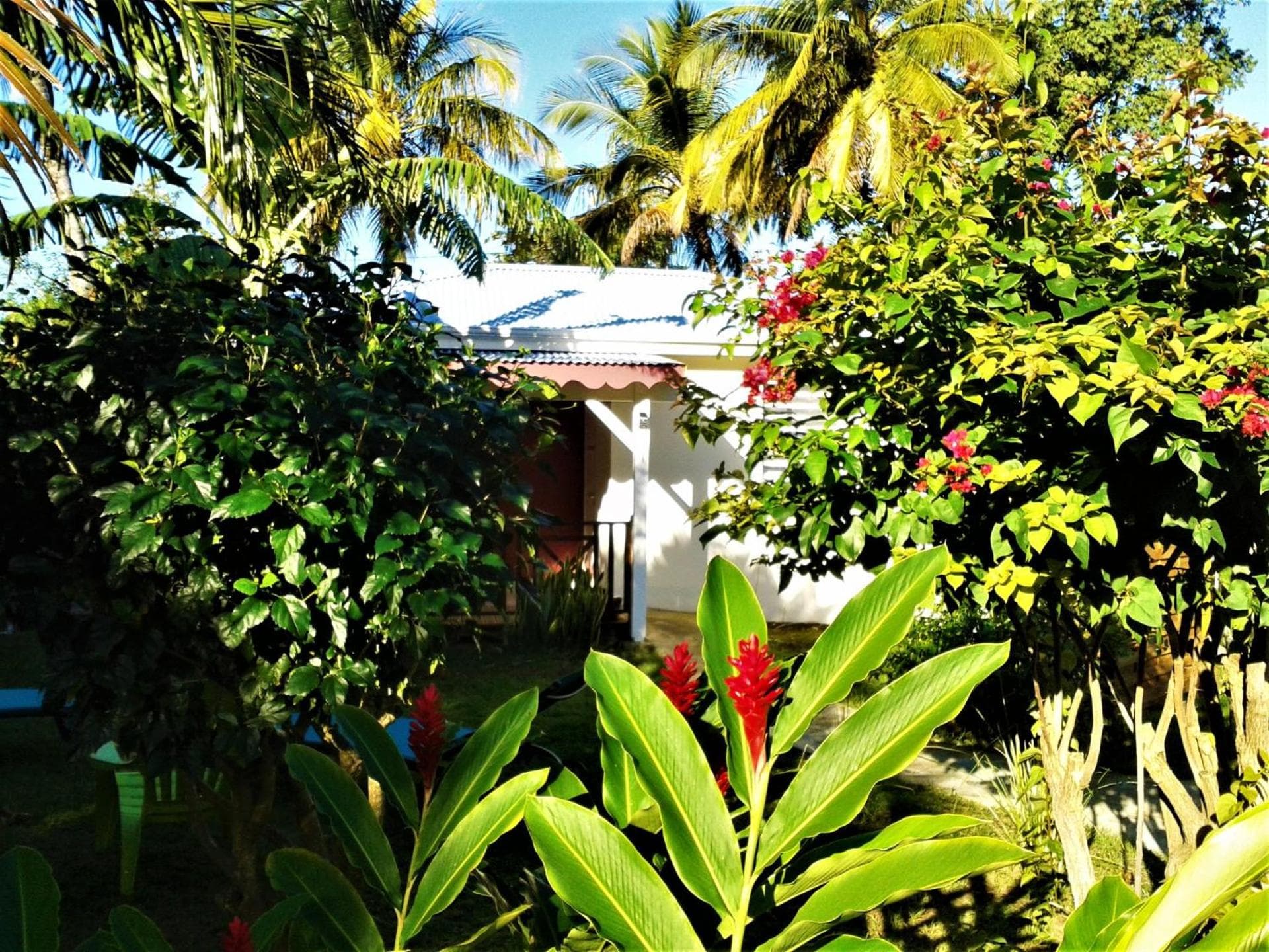 Photo 45