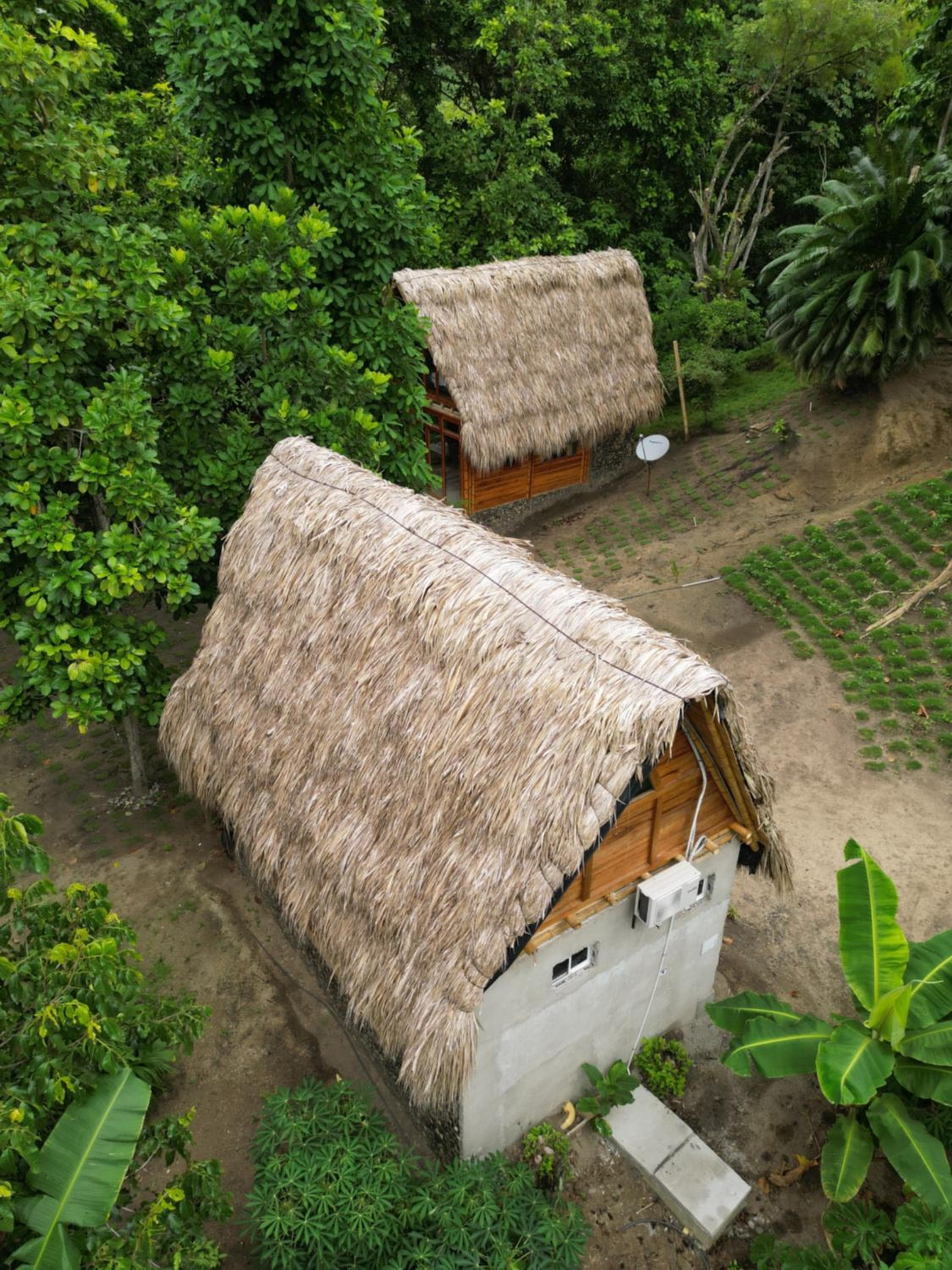 Photo 48