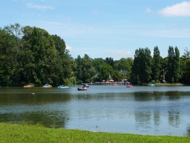 Photo 18