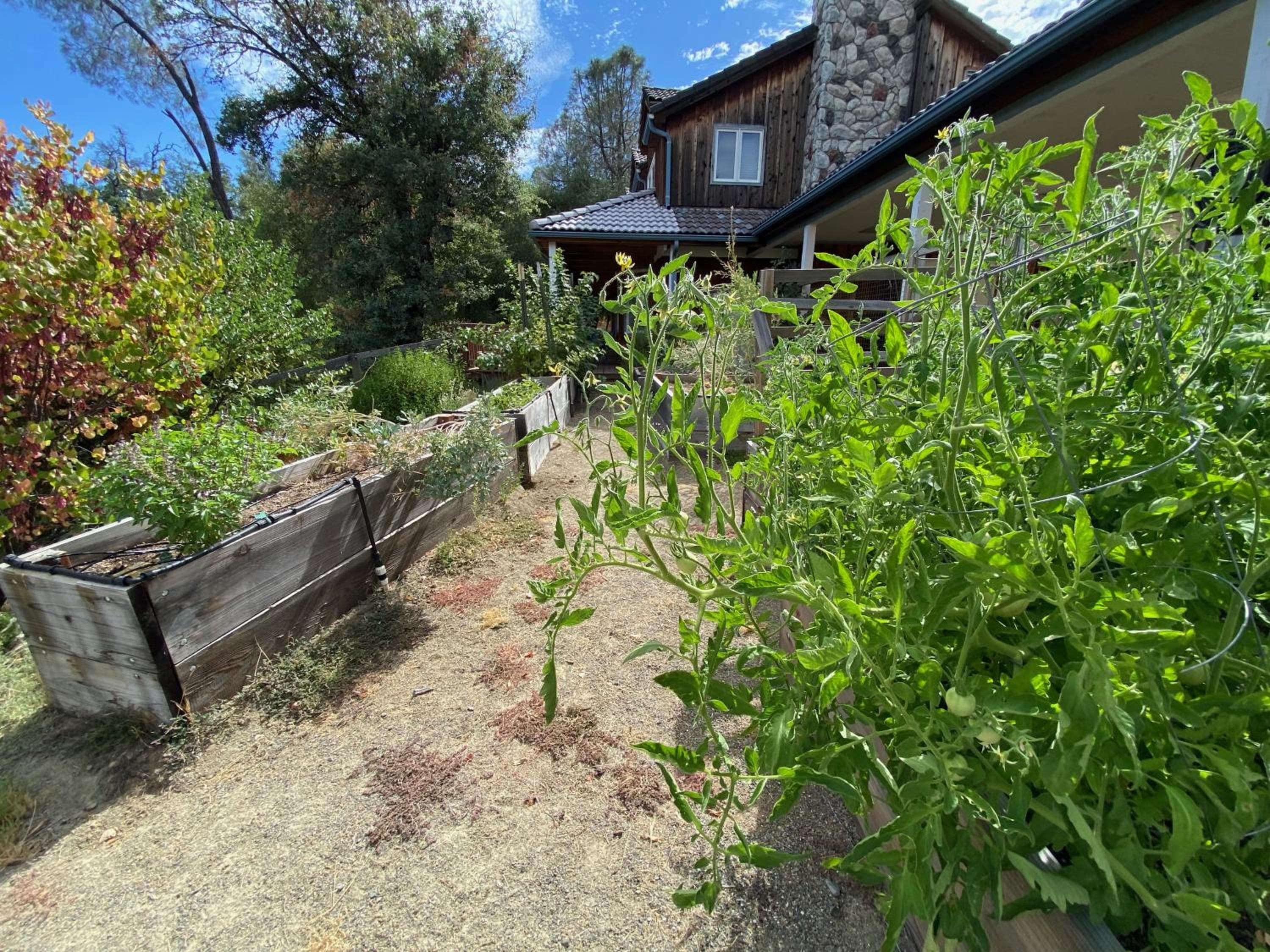Photo 29