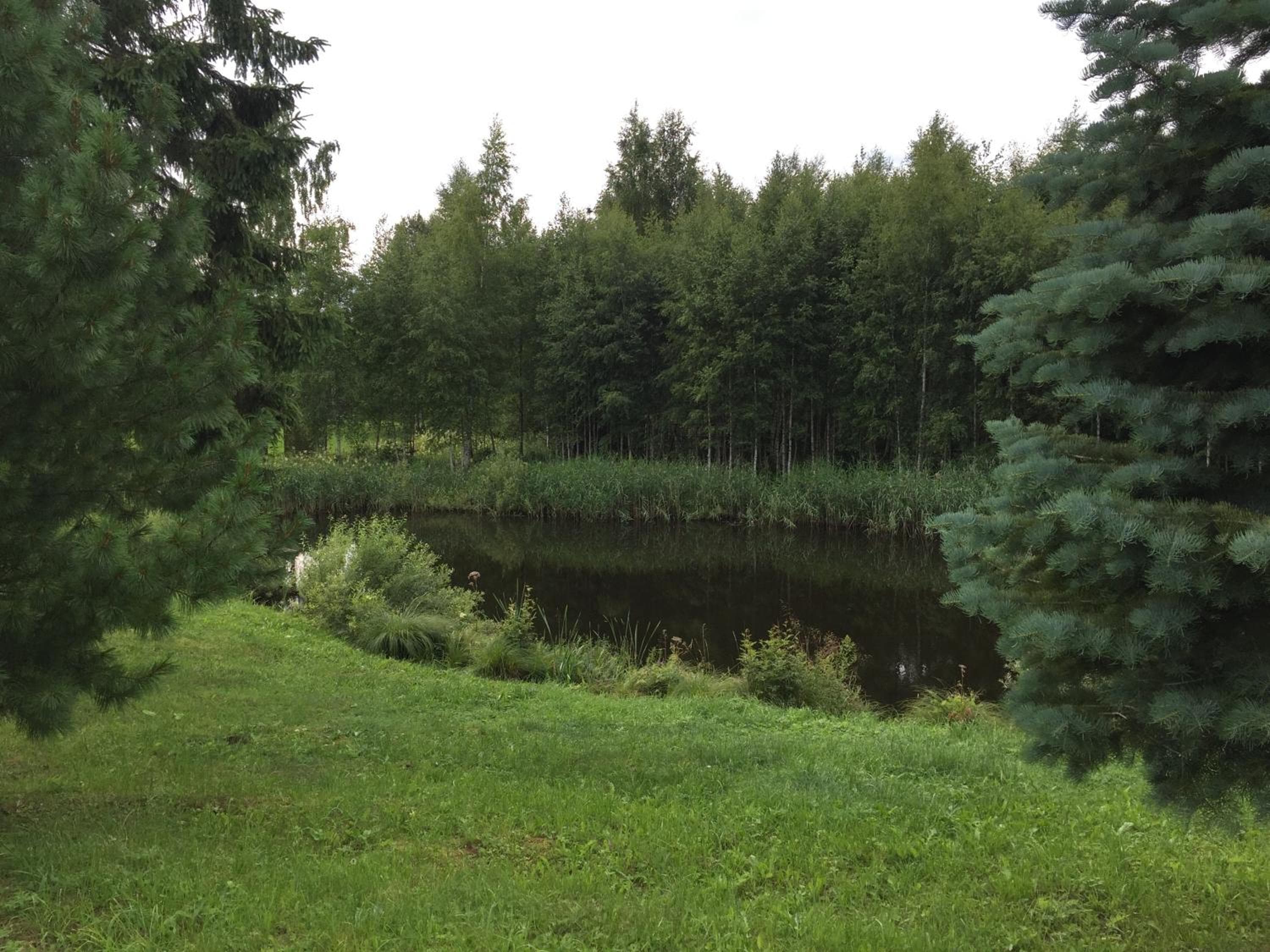 Photo 8
