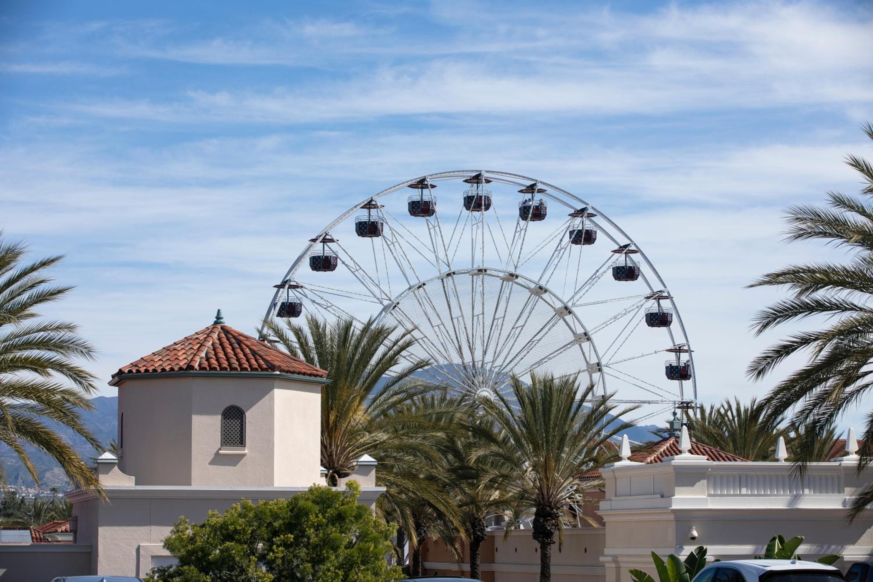 Photo 131