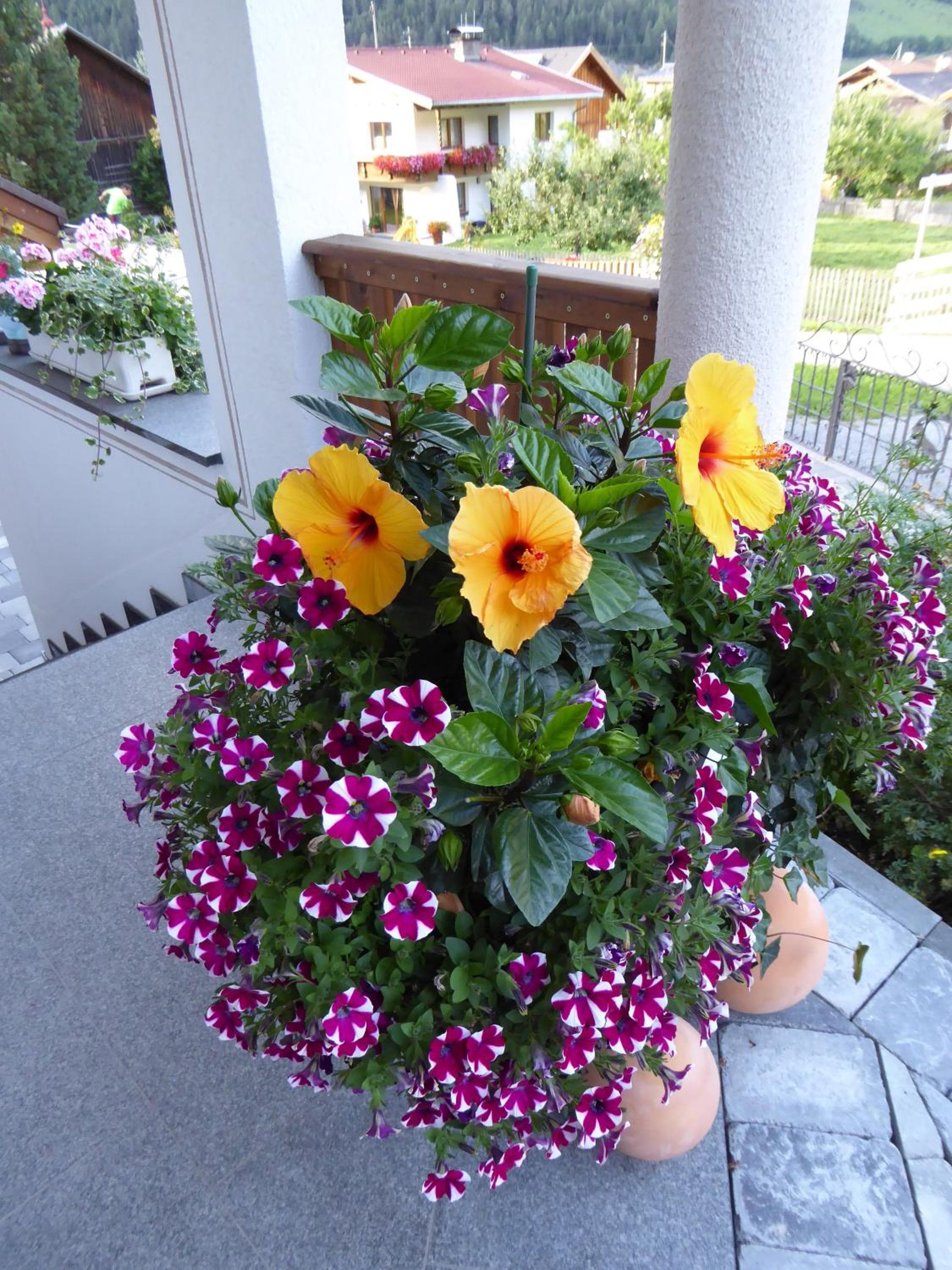Photo 27