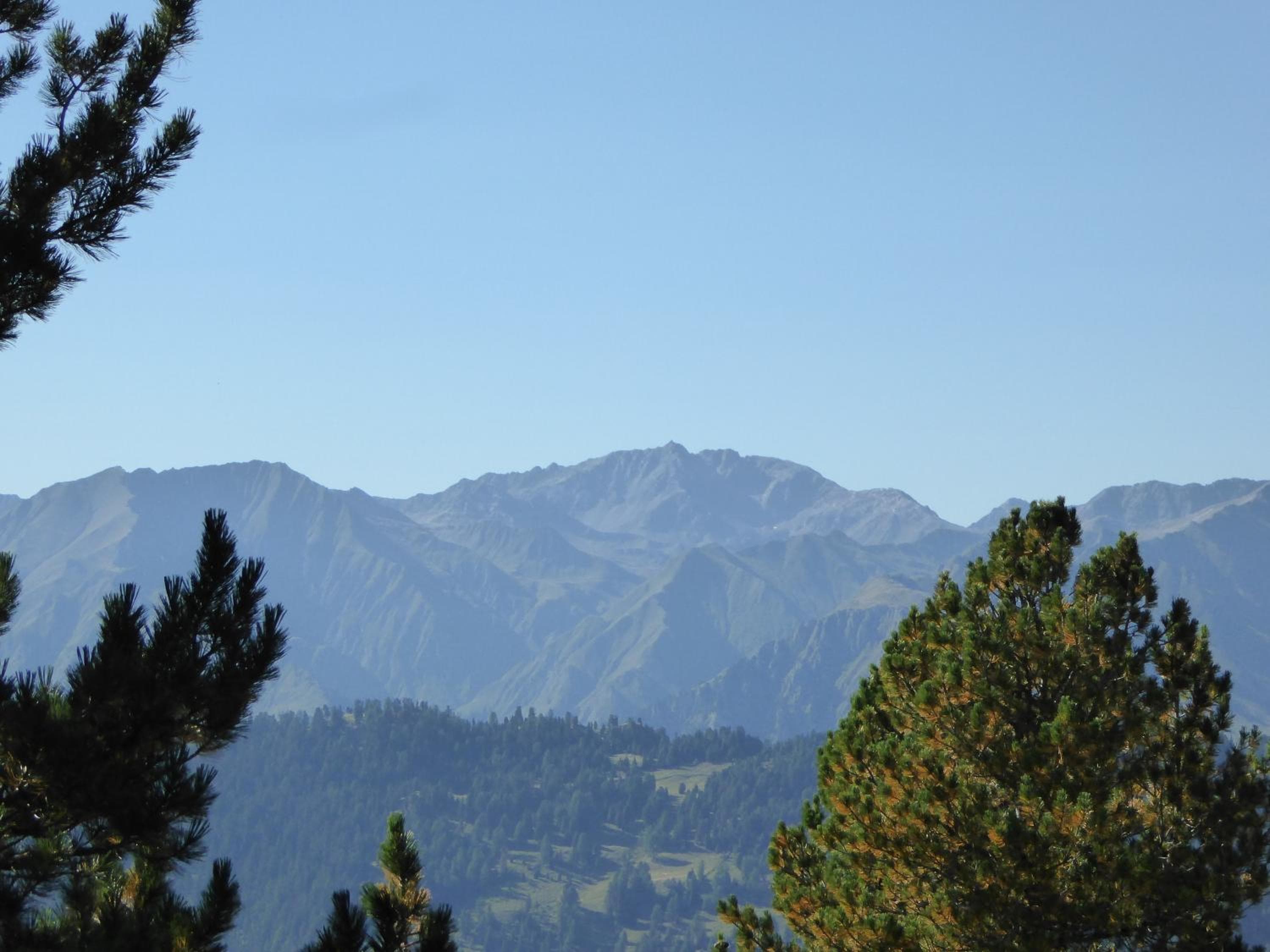 Photo 48