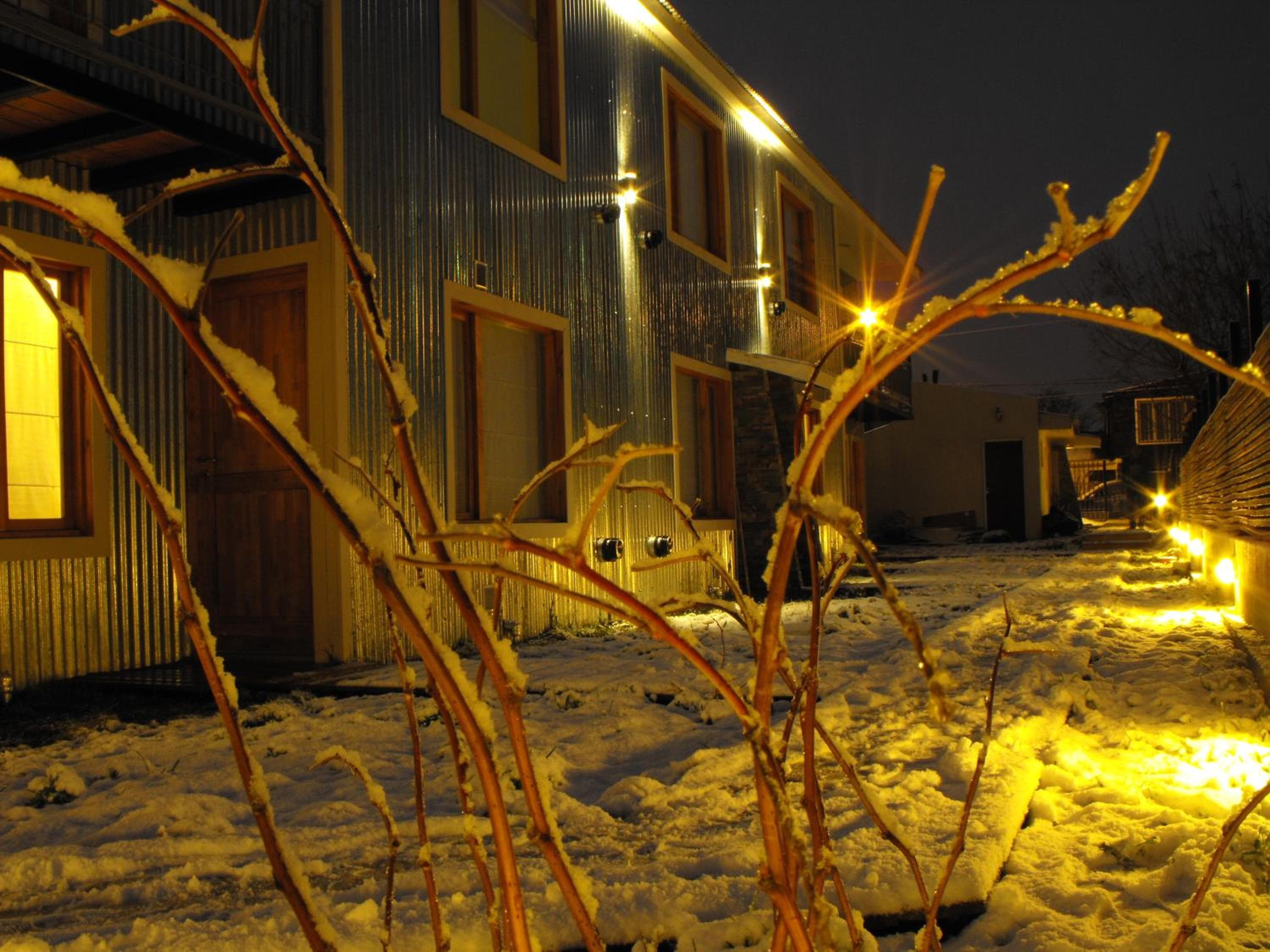 Photo 11