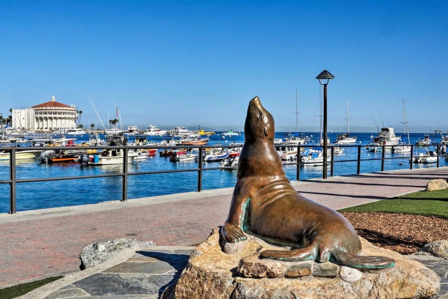 Photo 8