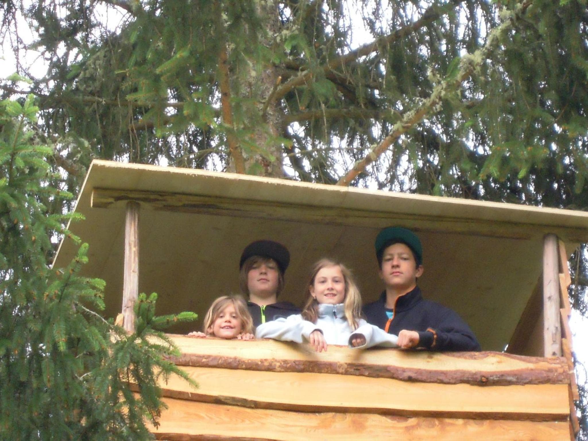 Photo 40