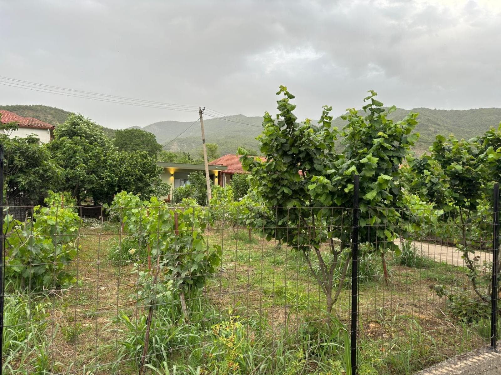 Photo 28