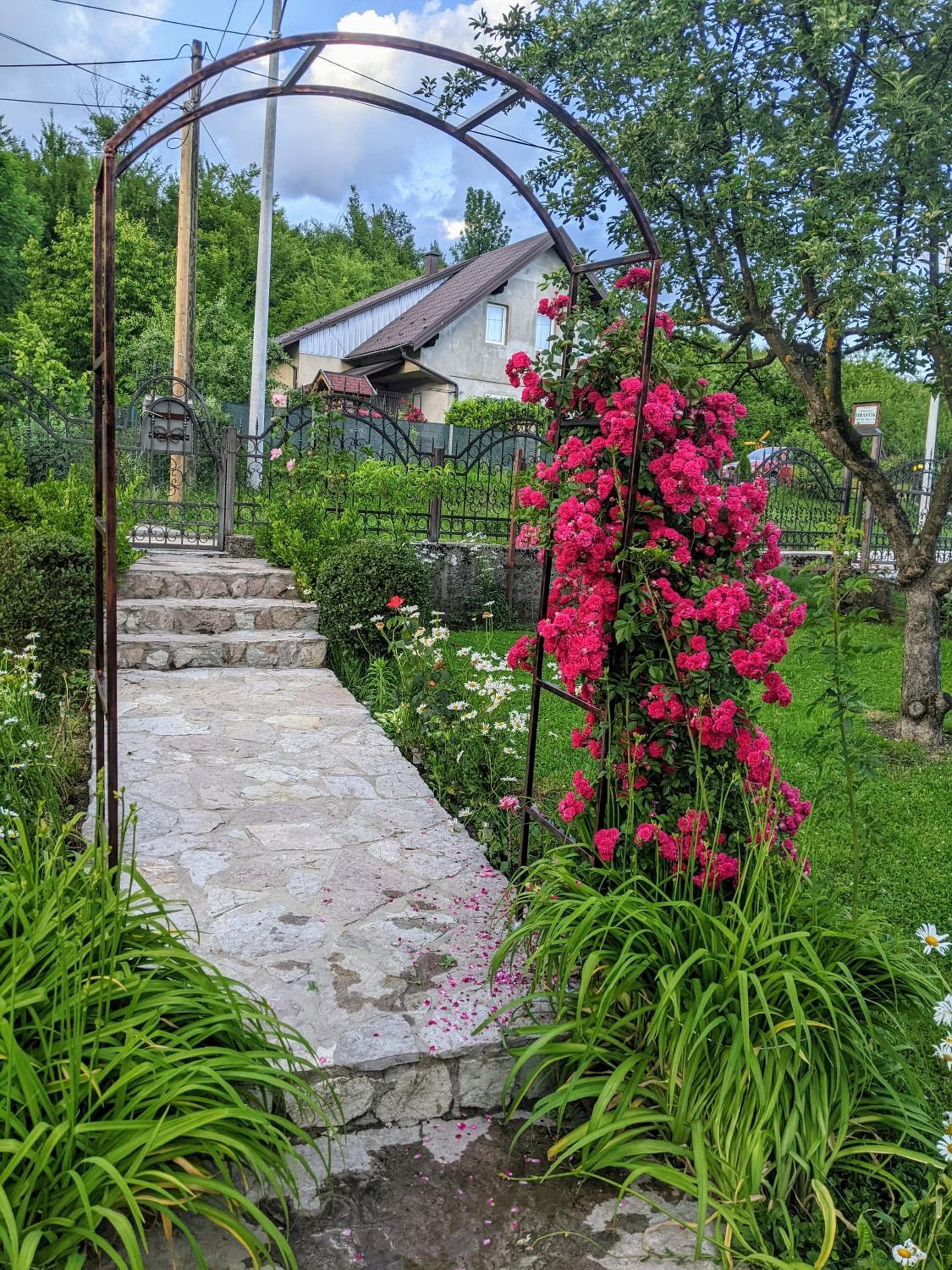 Photo 41
