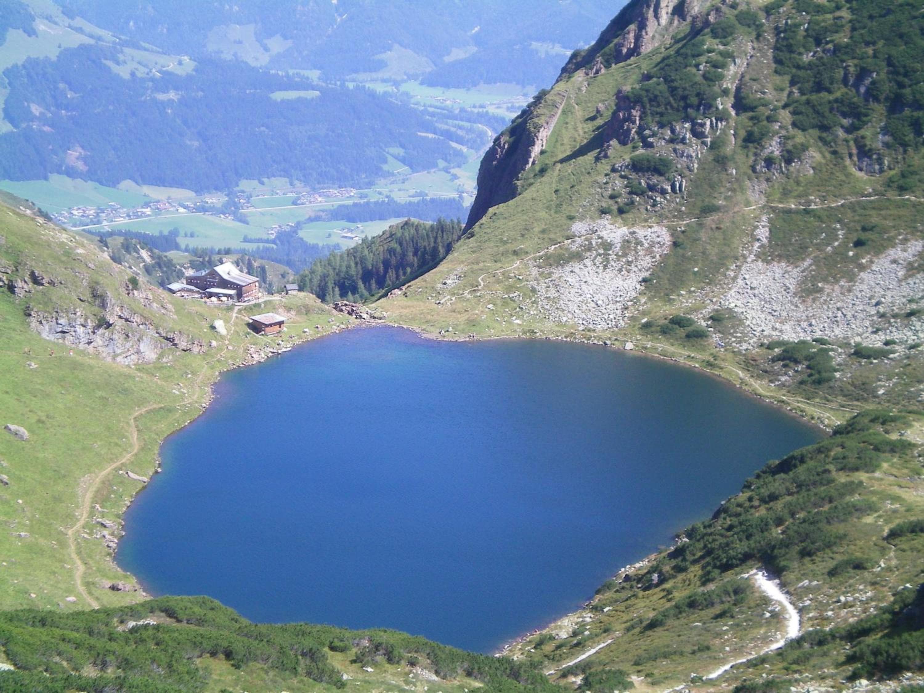 Photo 43