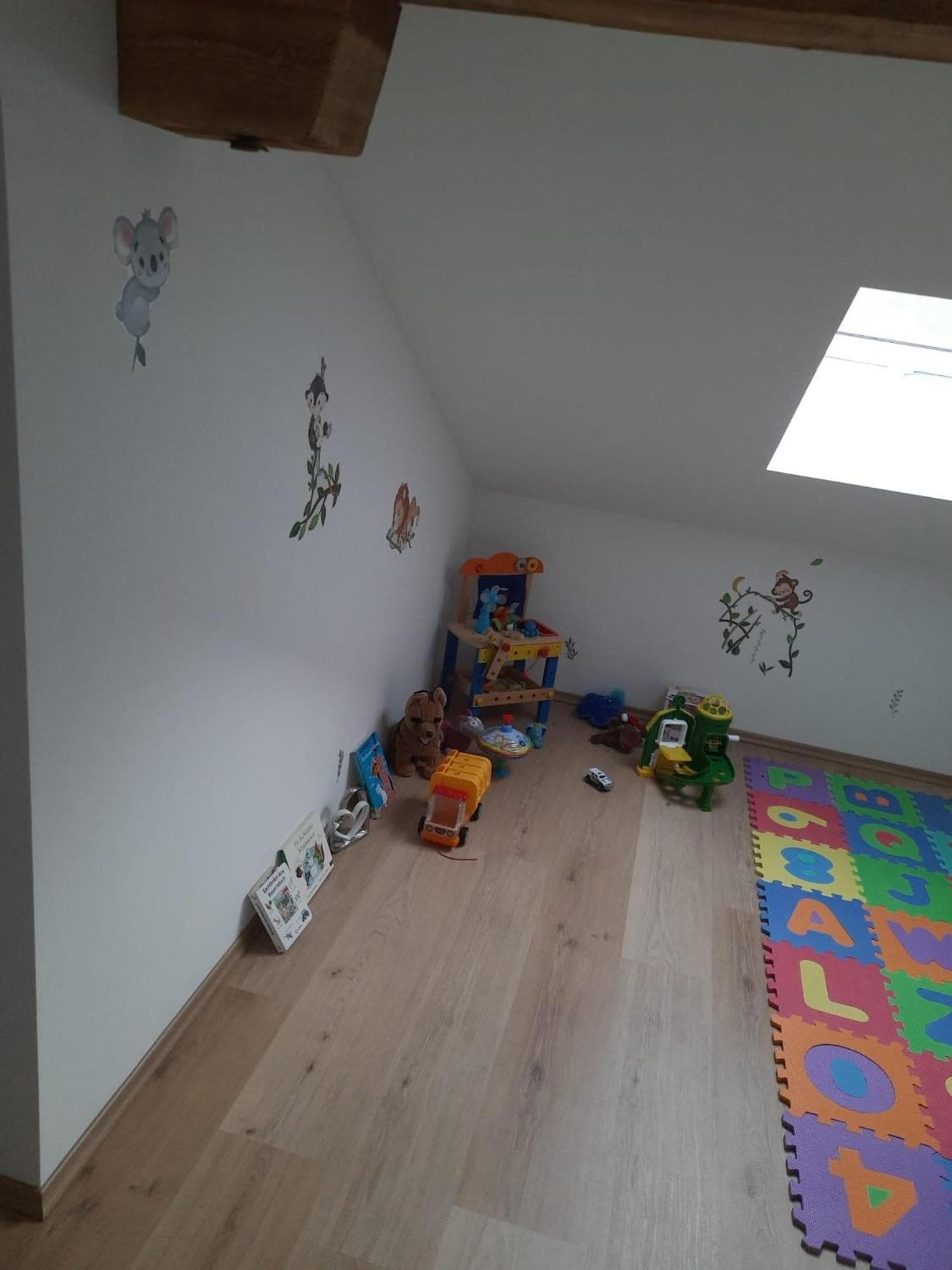 Photo 11