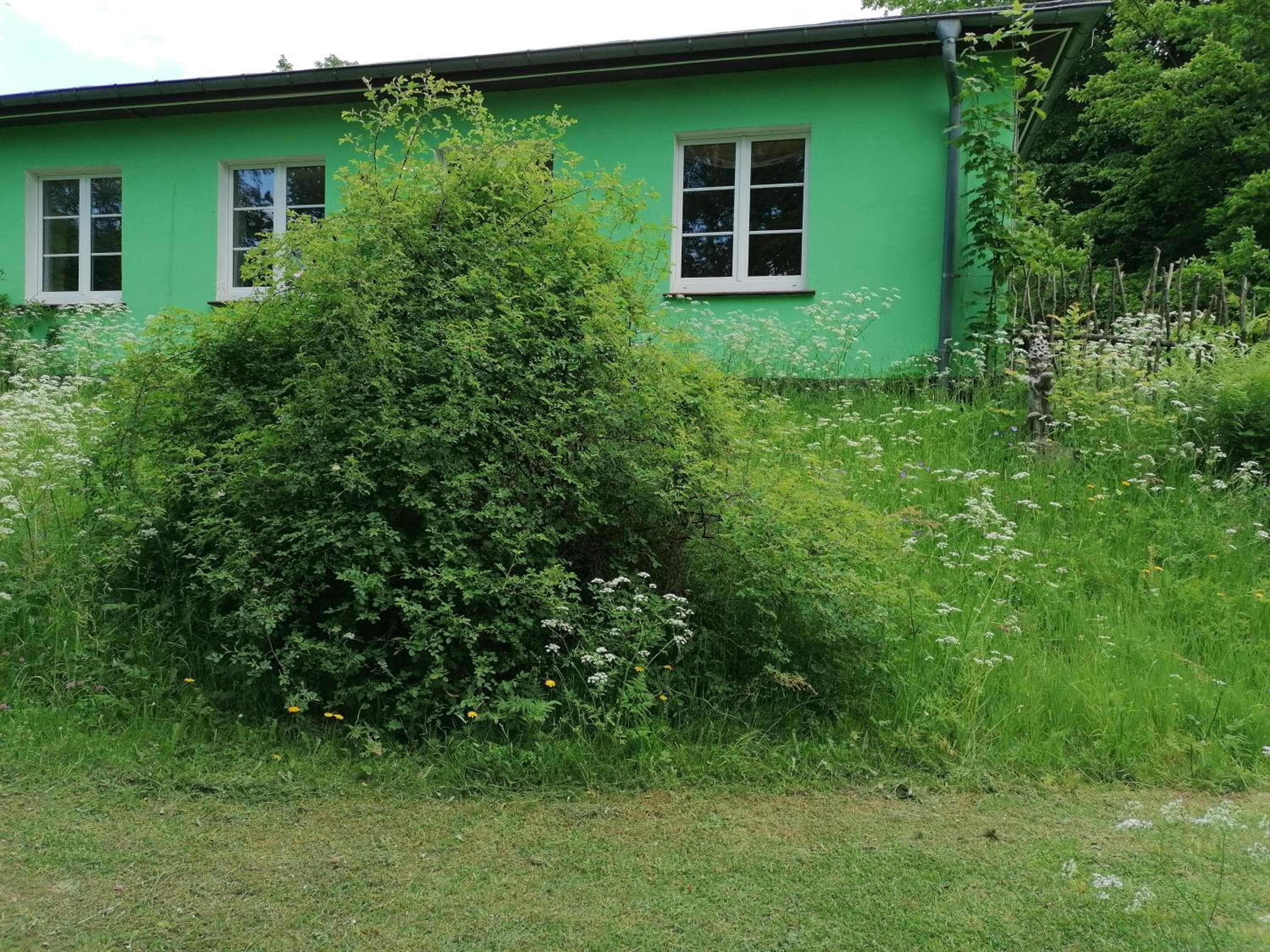 Photo 54