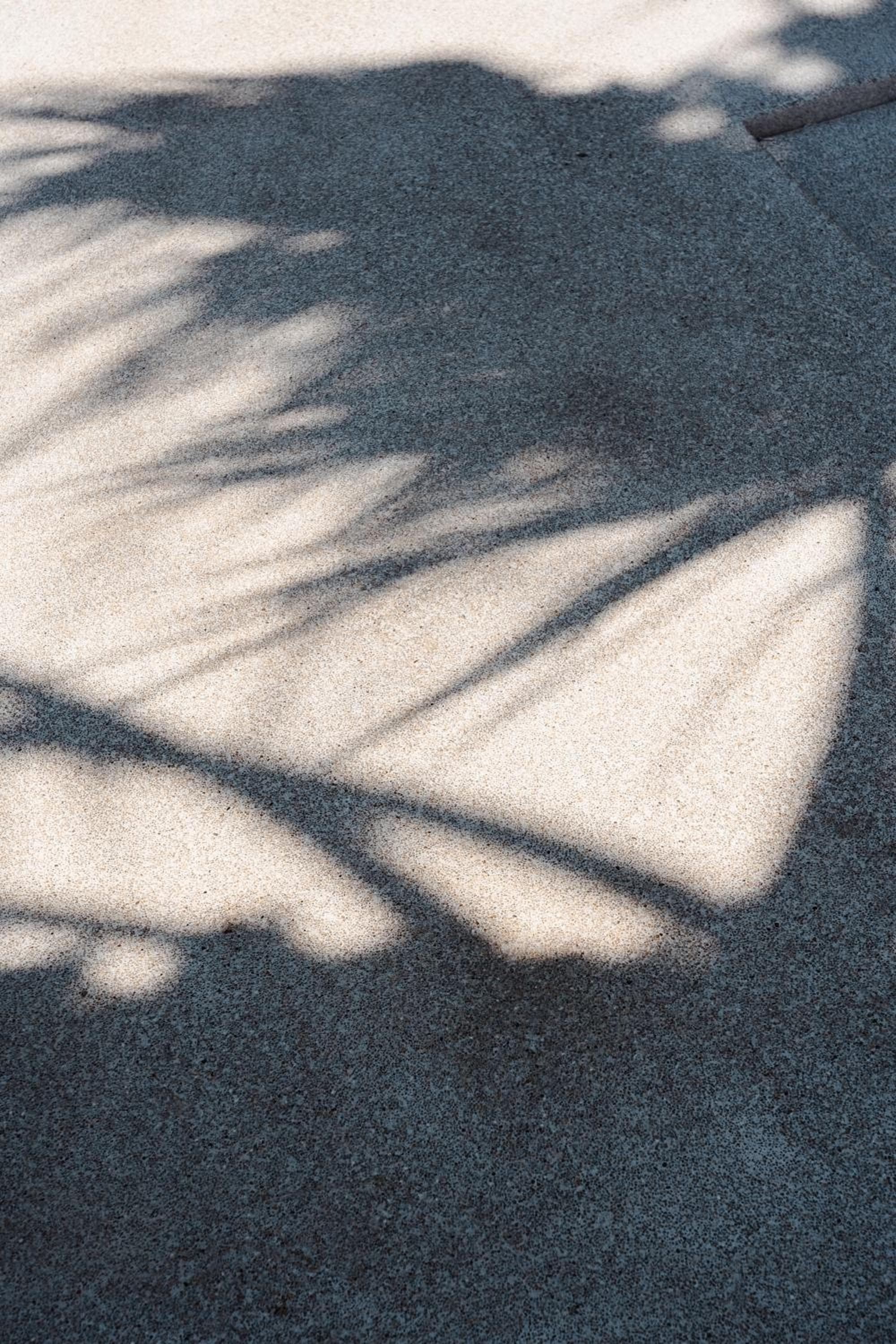 Photo 35