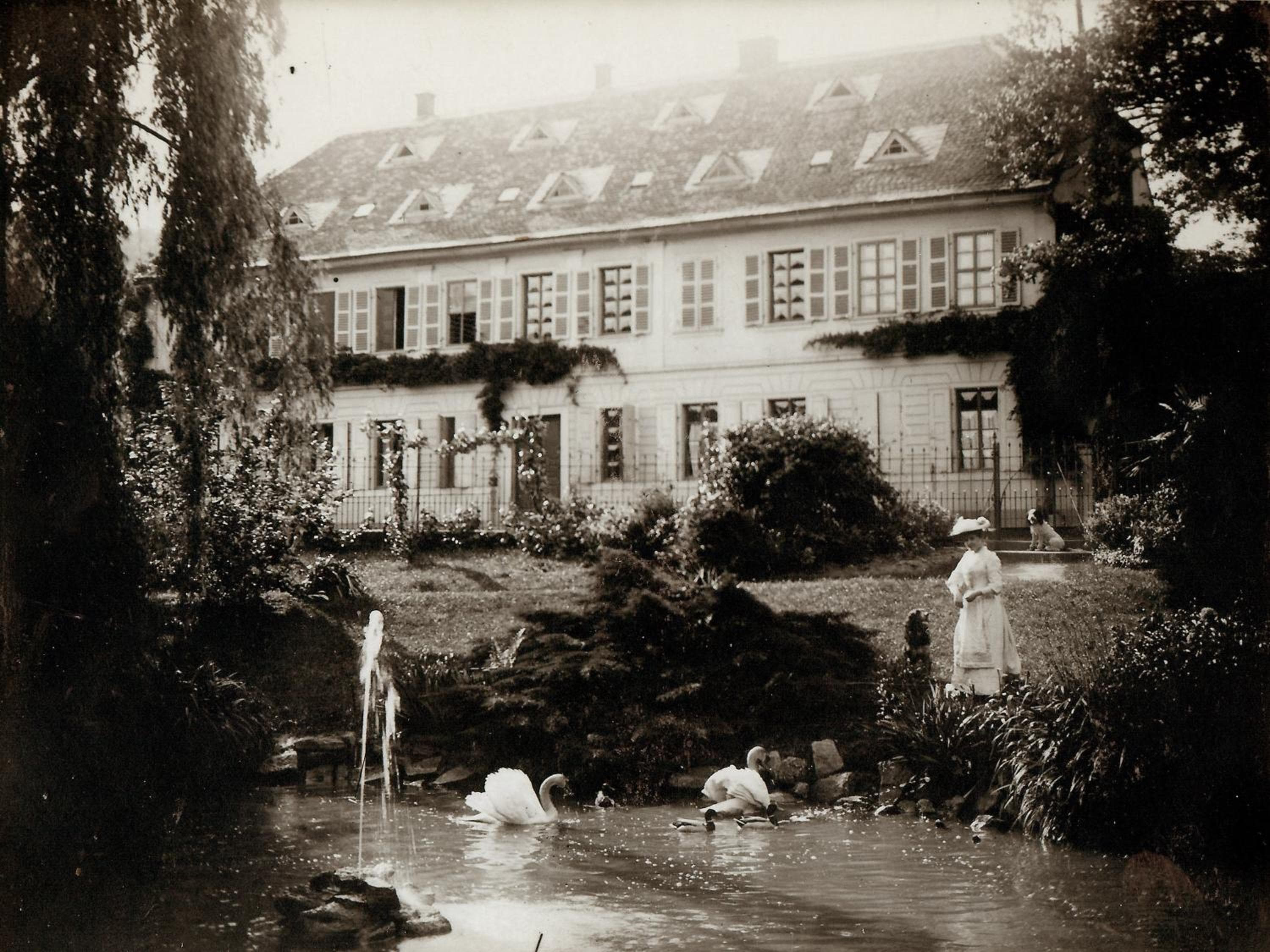 Photo 10