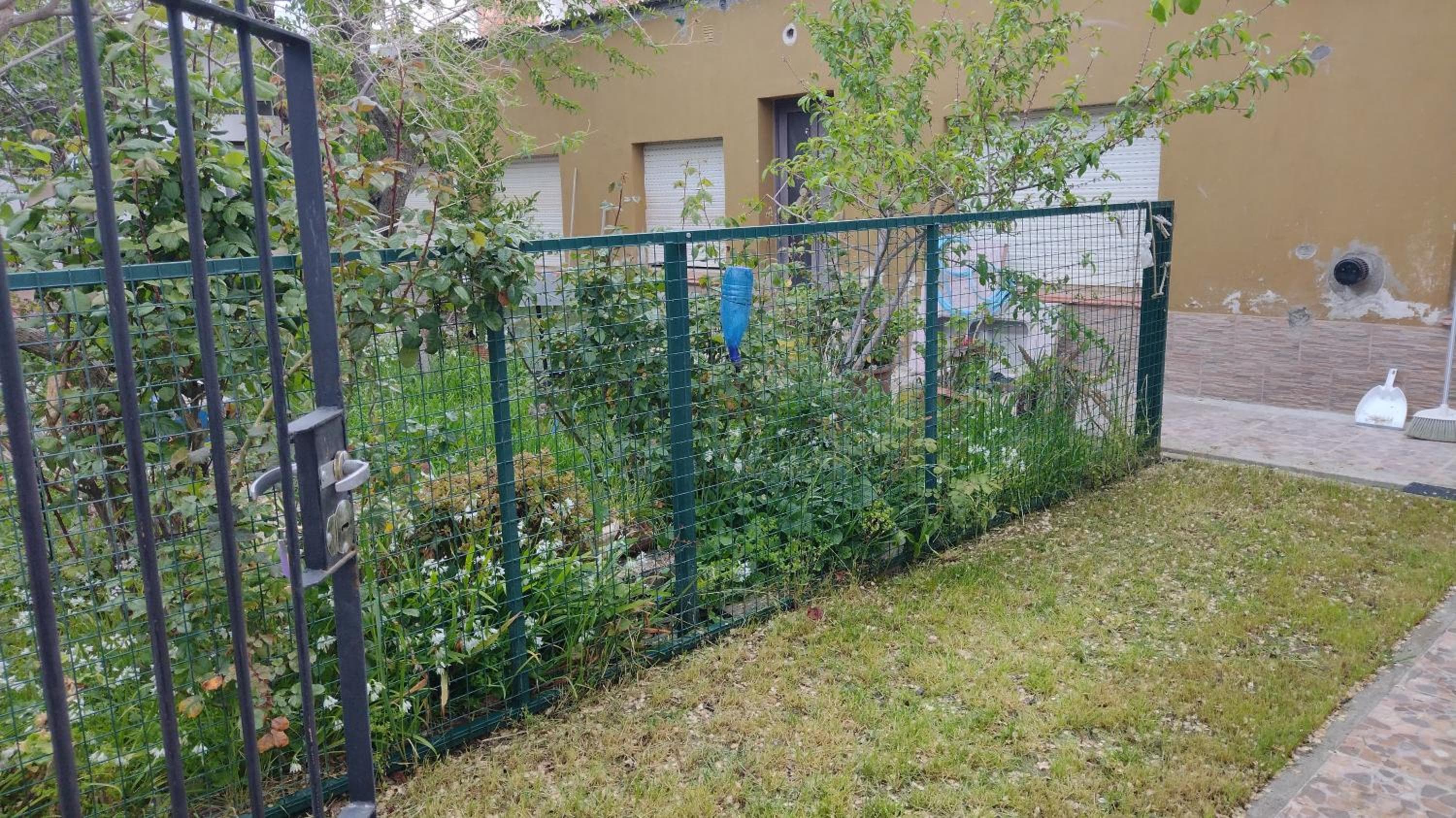 Photo 13