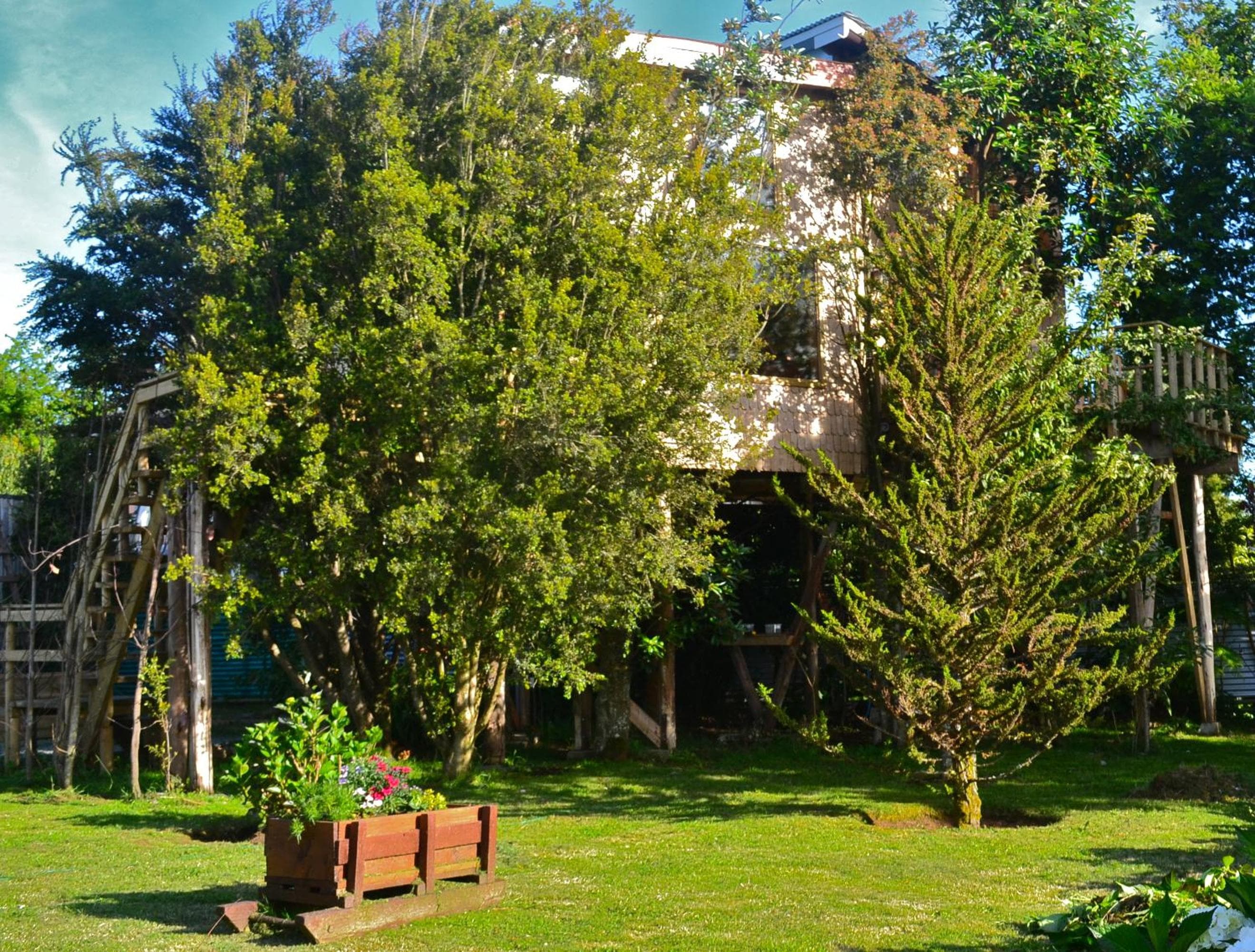 Photo 19