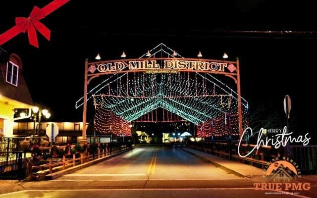 Photo 45