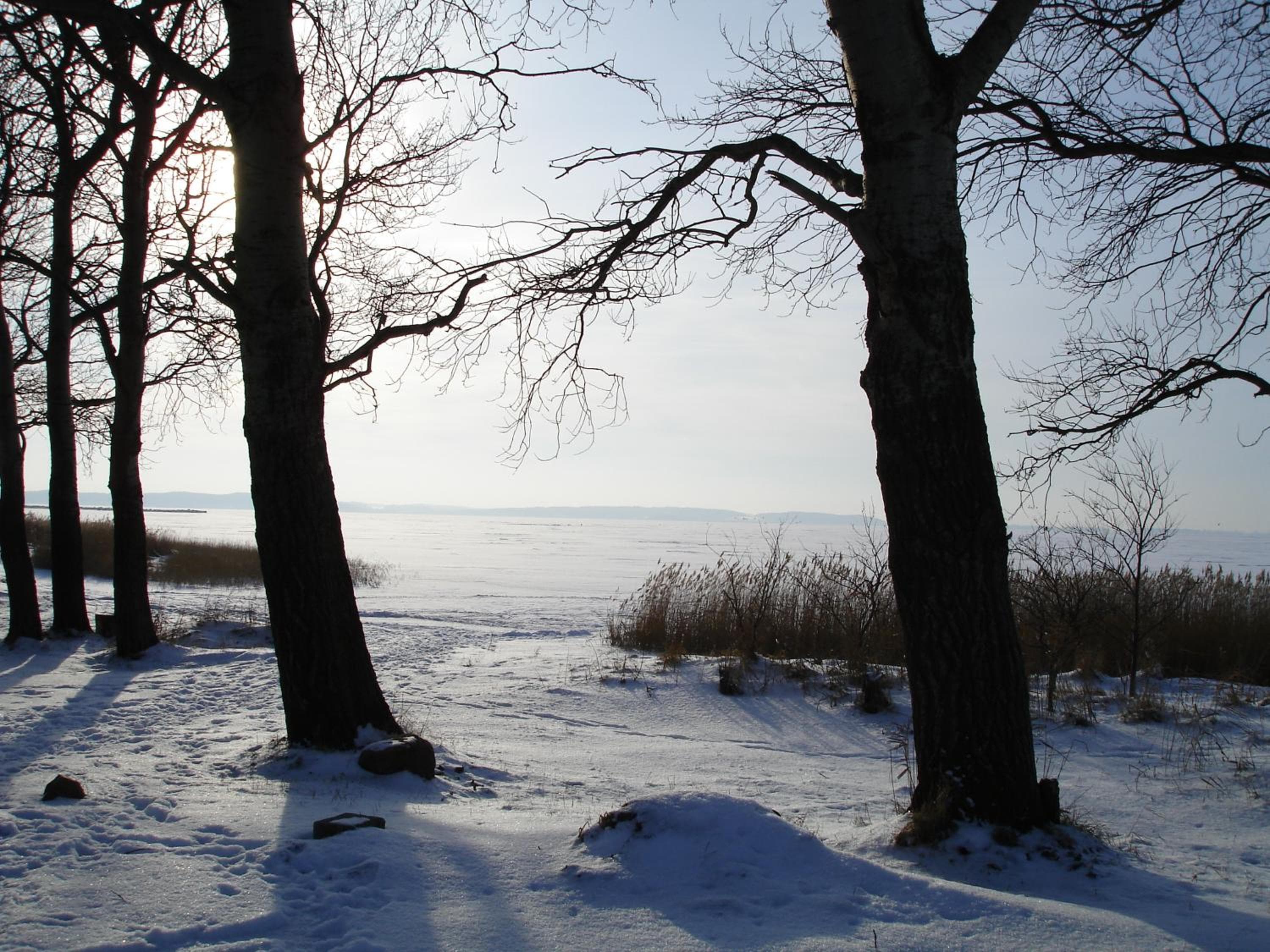 Photo 48
