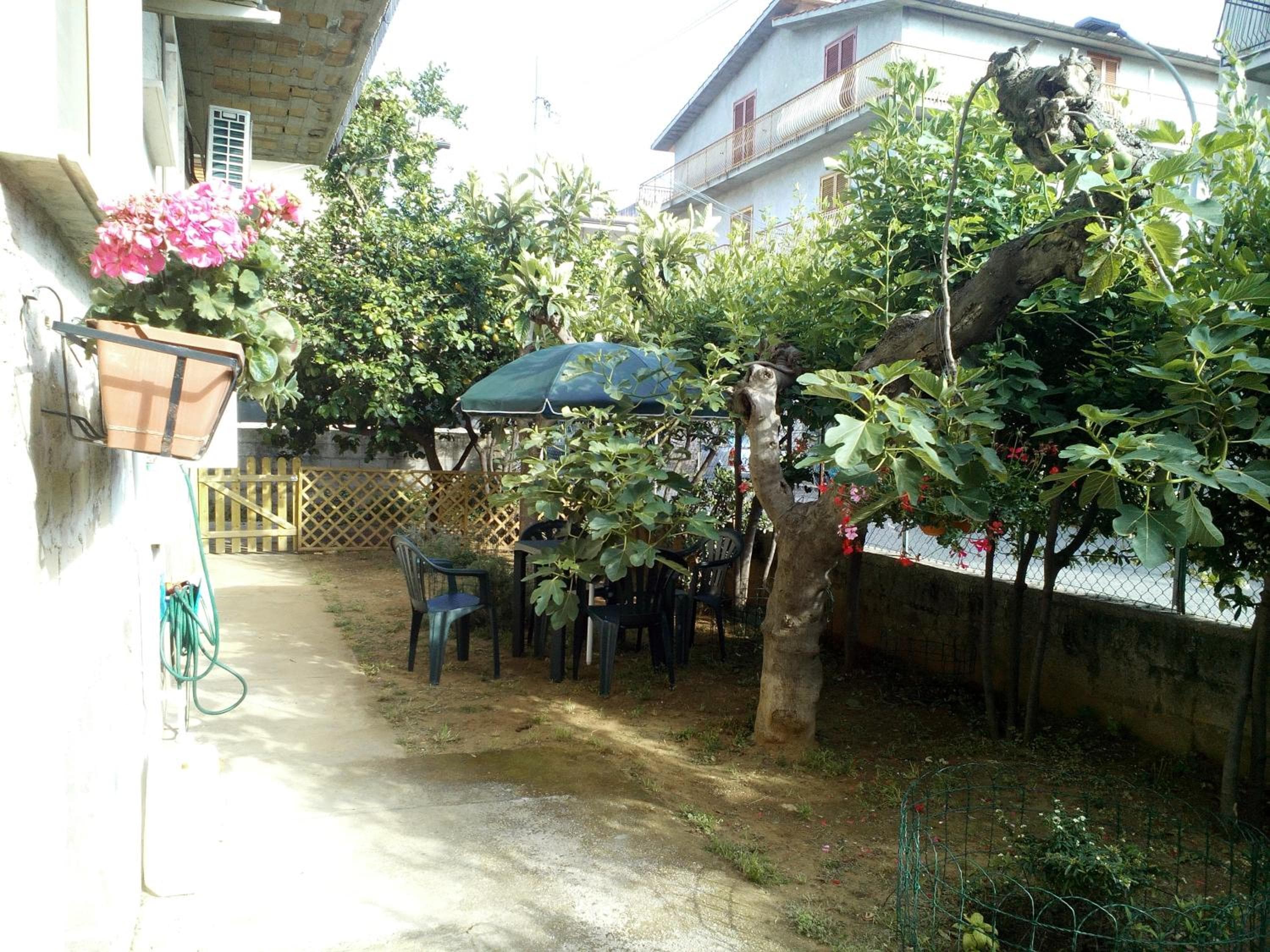 Photo 48