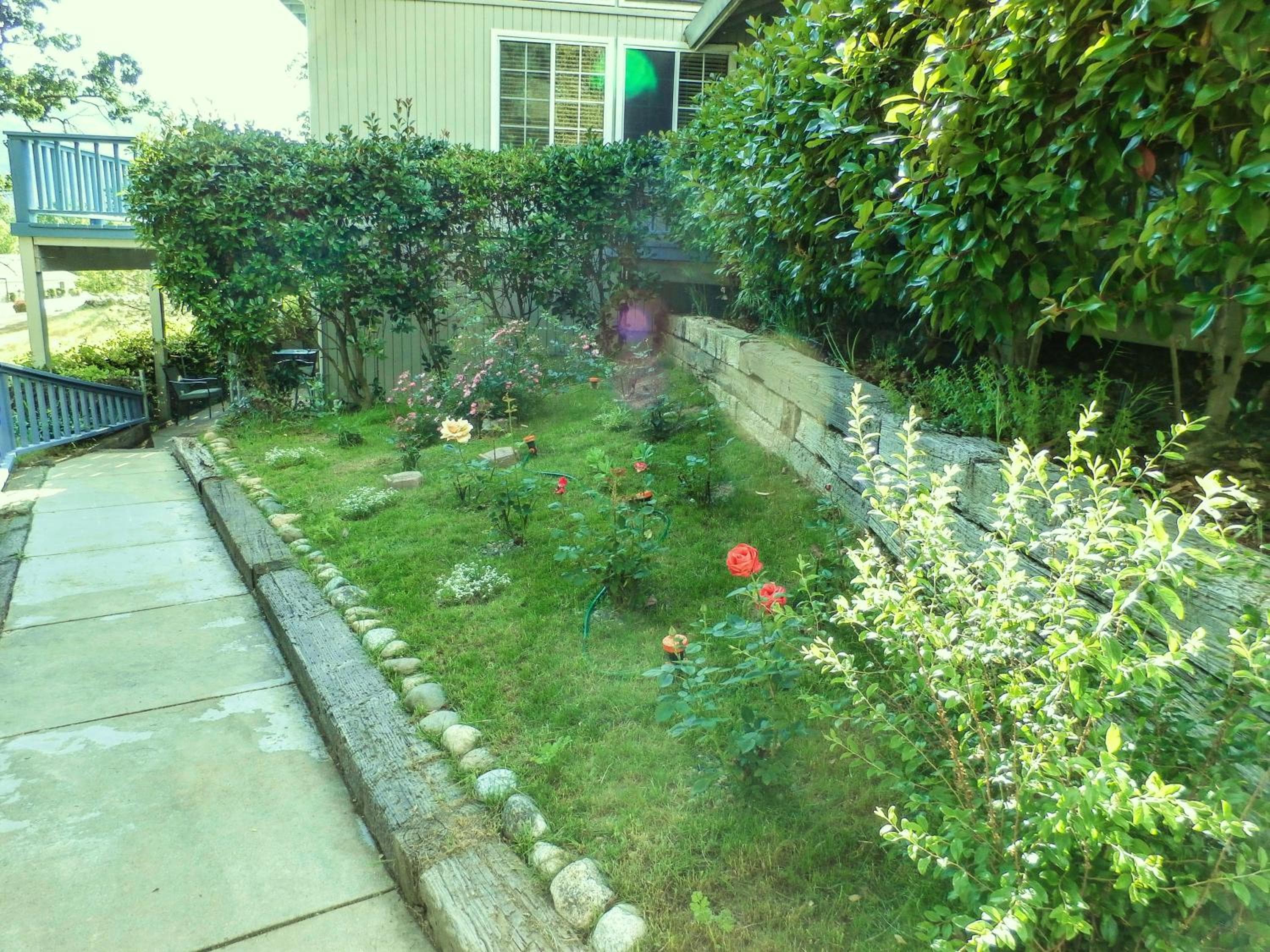 Photo 31