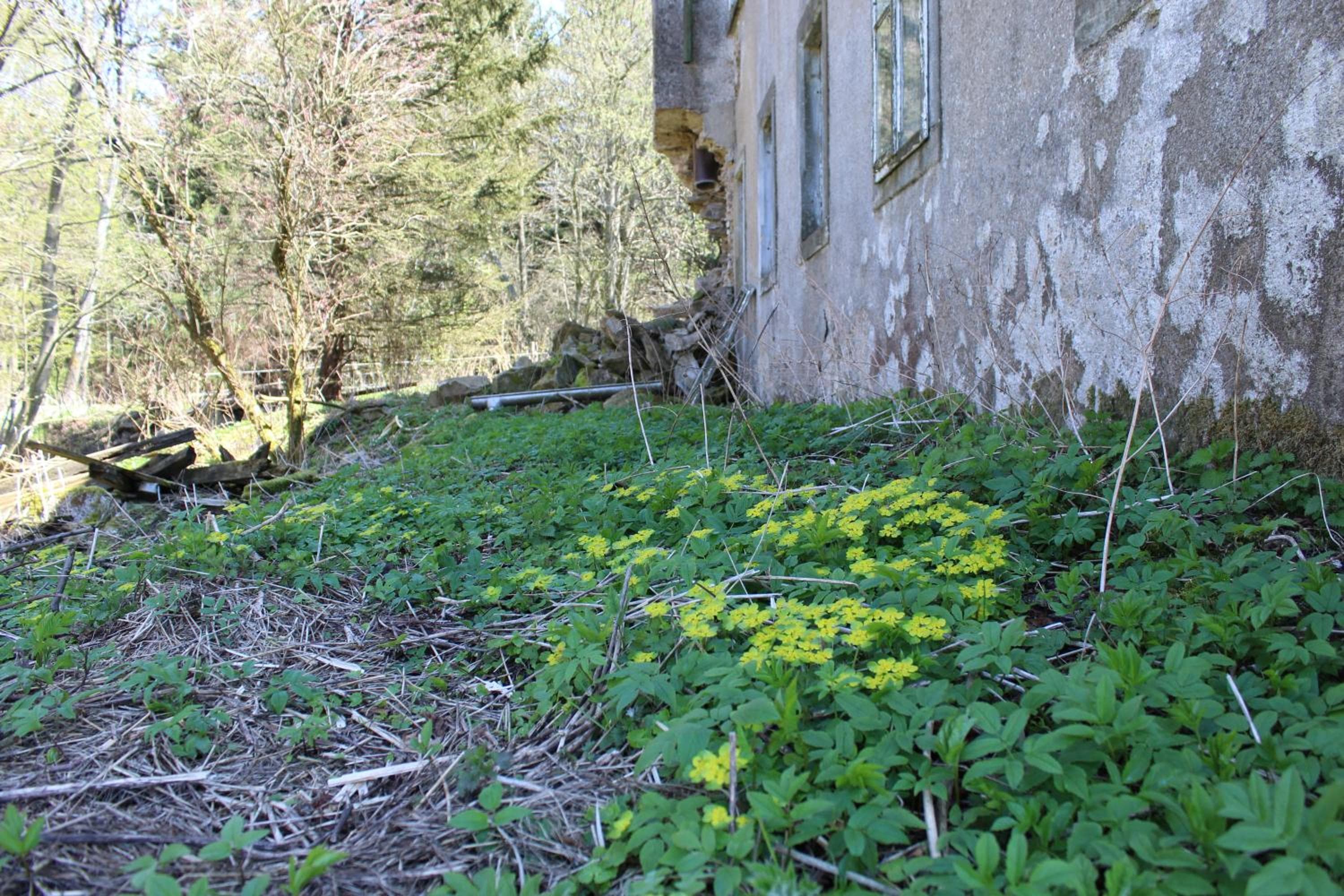 Photo 44