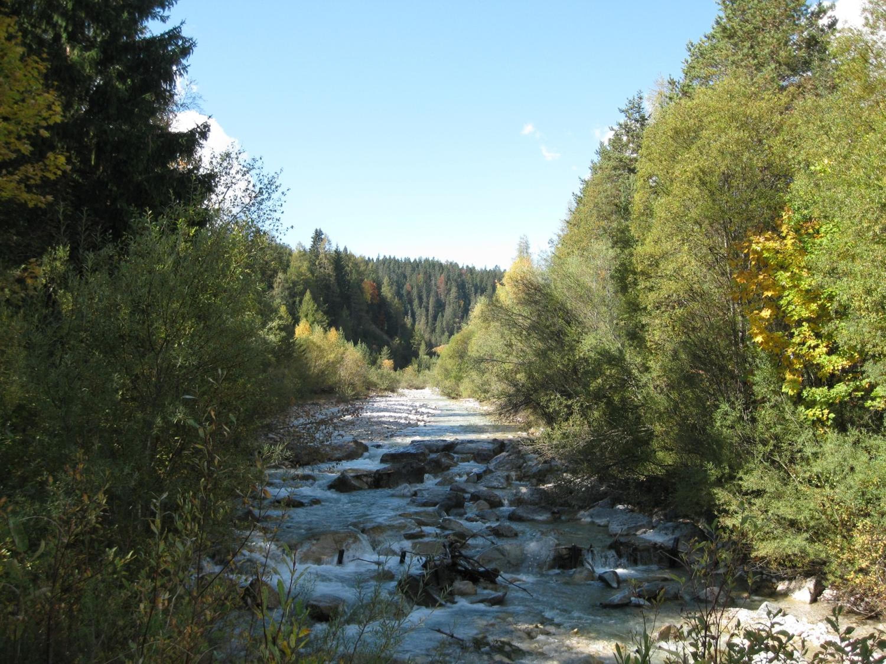 Photo 24