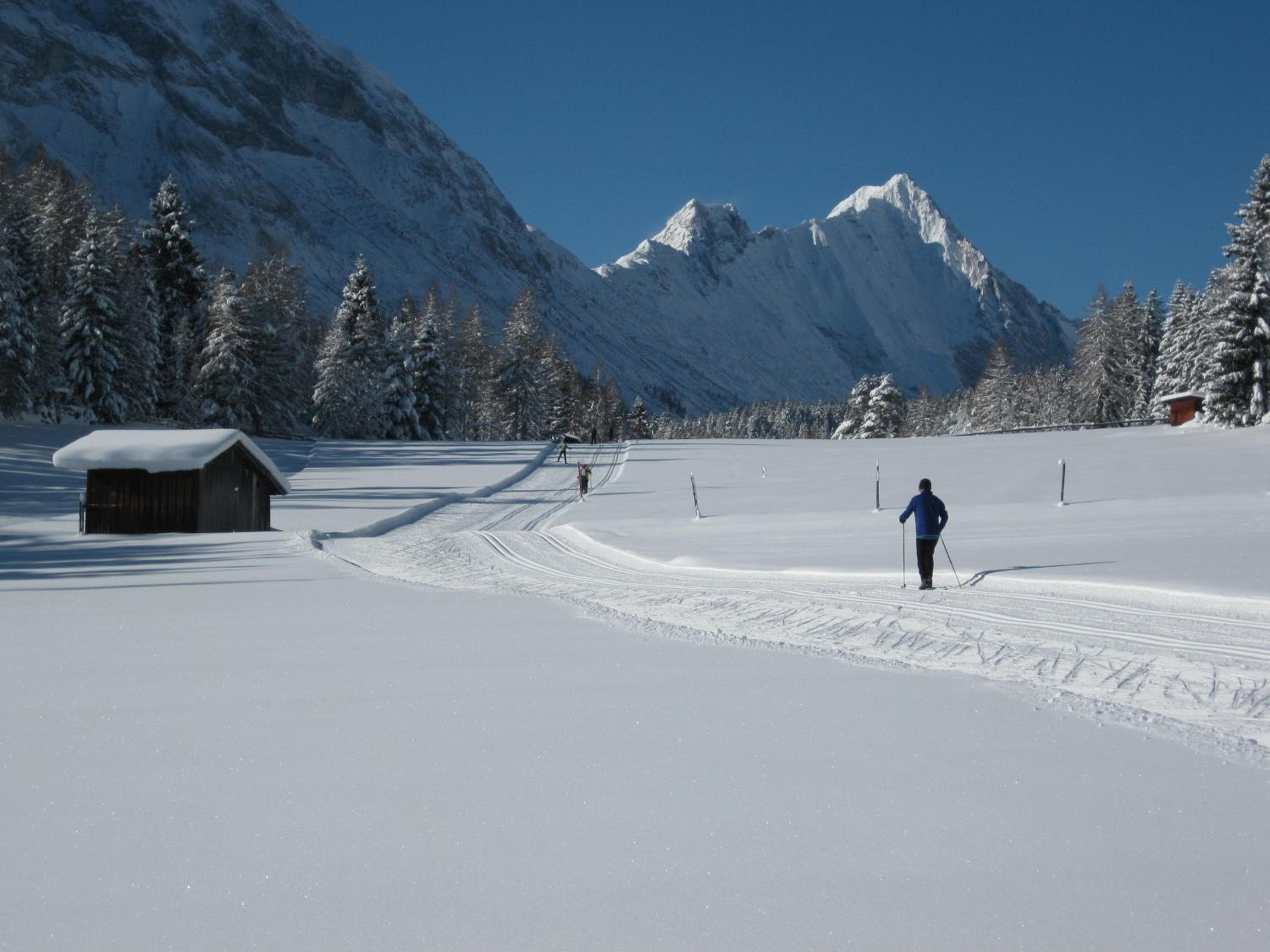 Photo 14