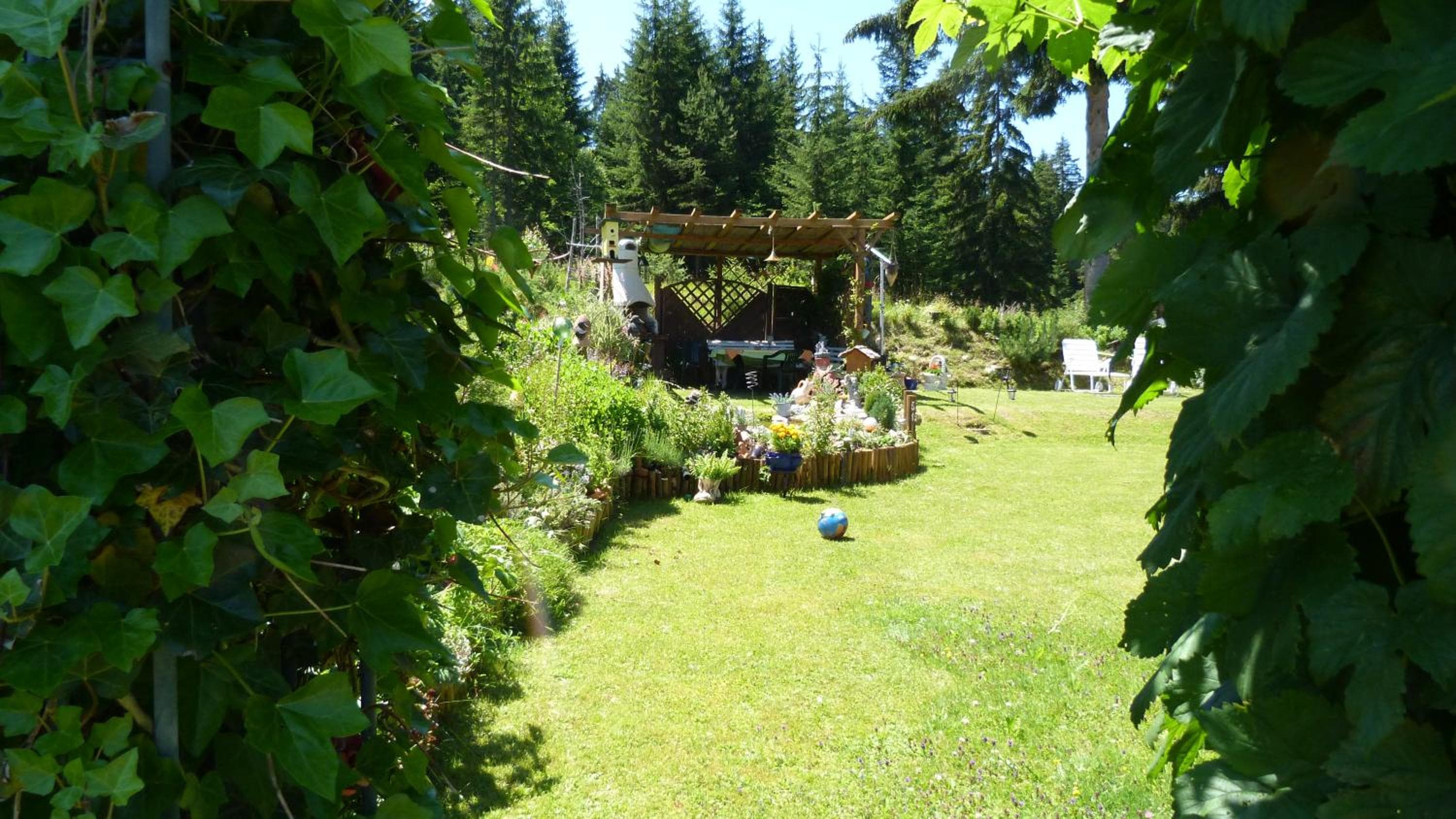 Photo 12