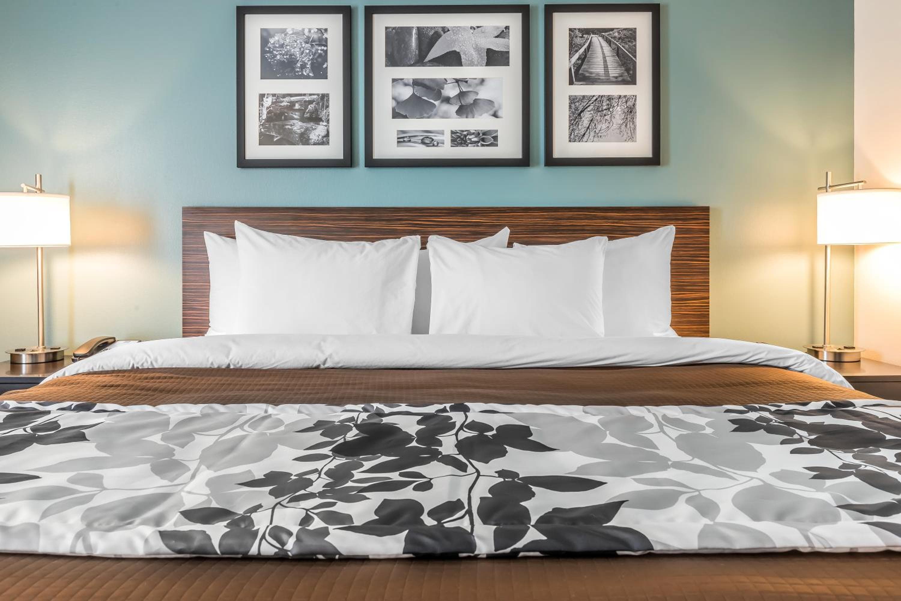 Photo 6