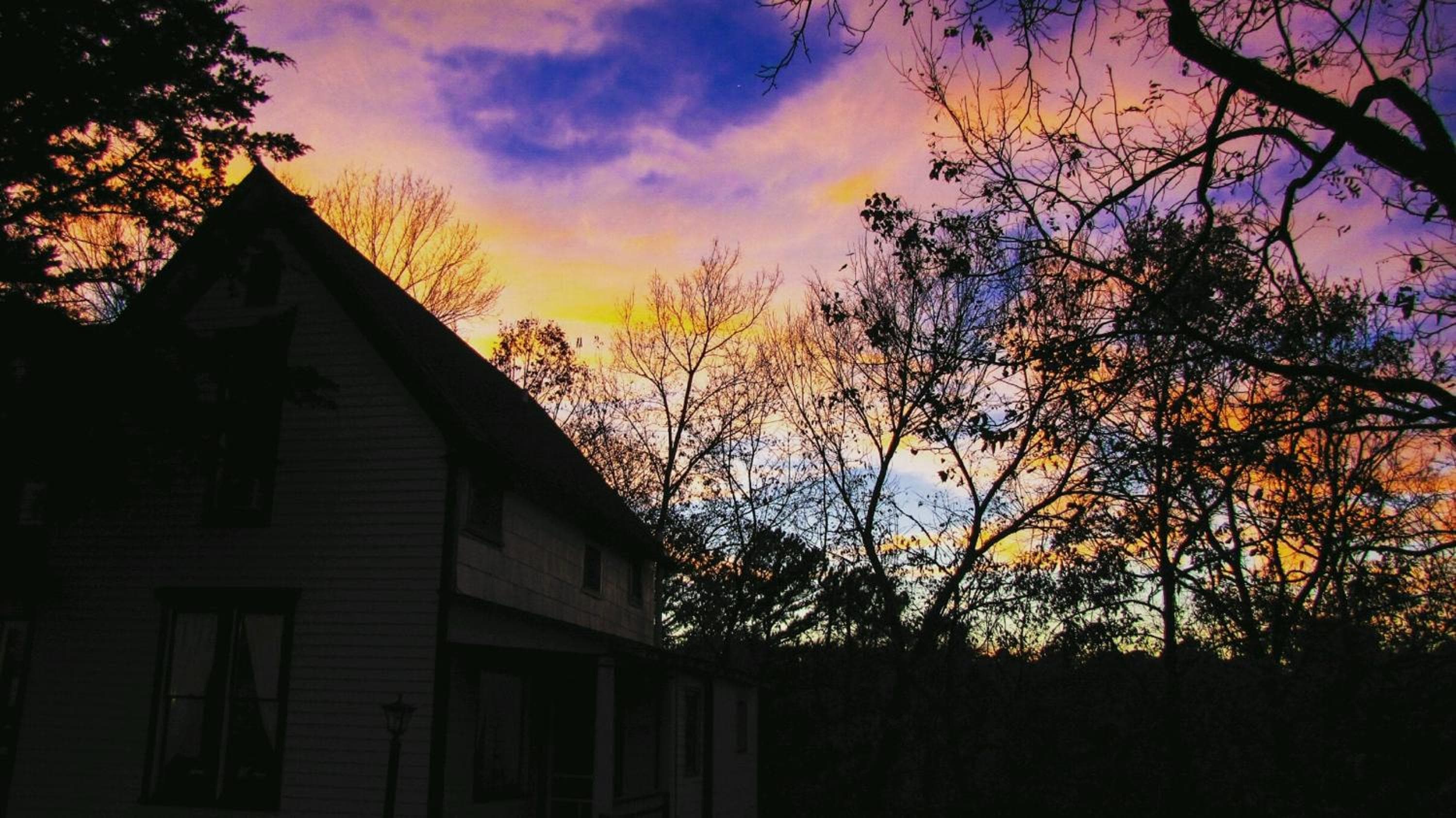 Photo 173