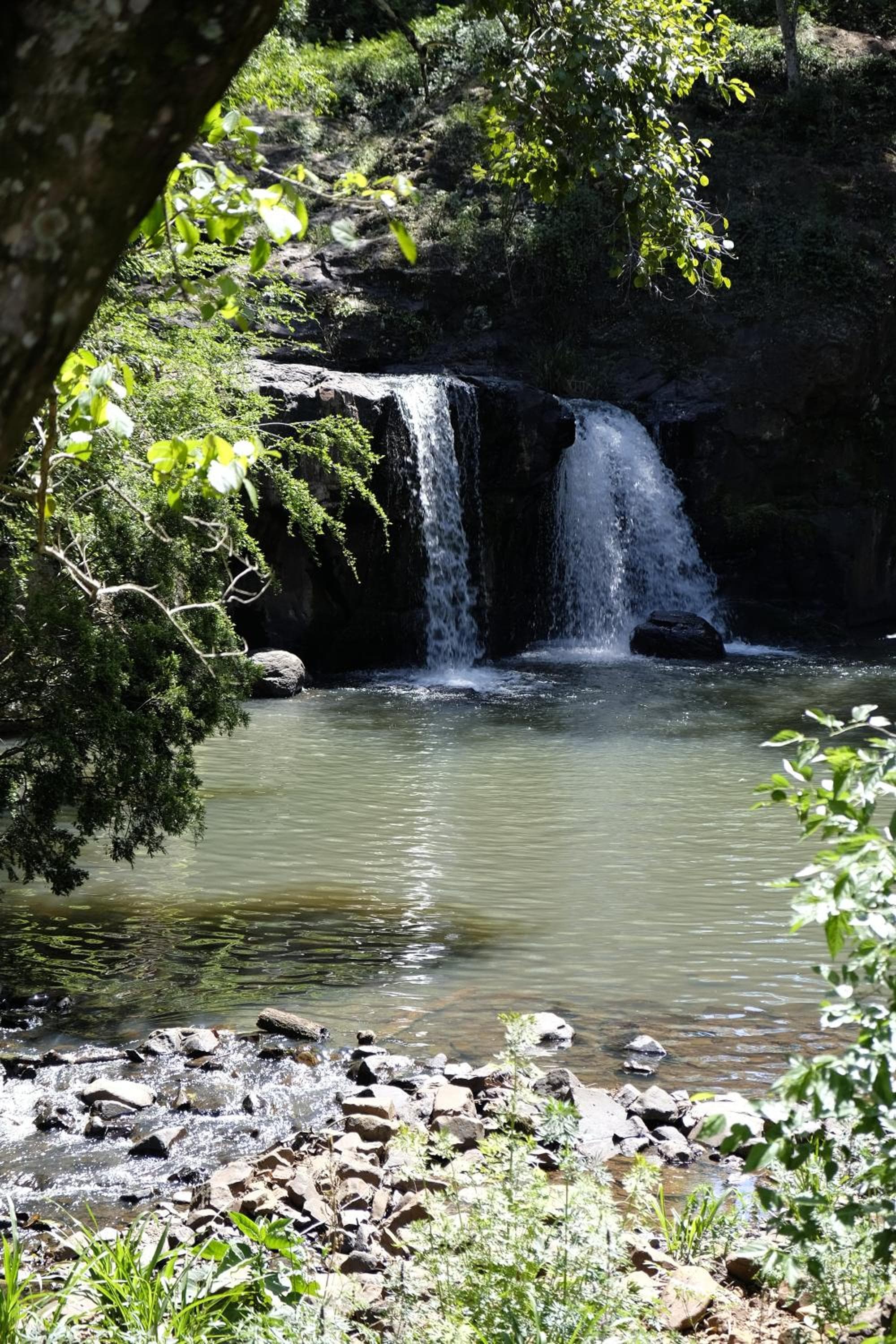 Photo 26