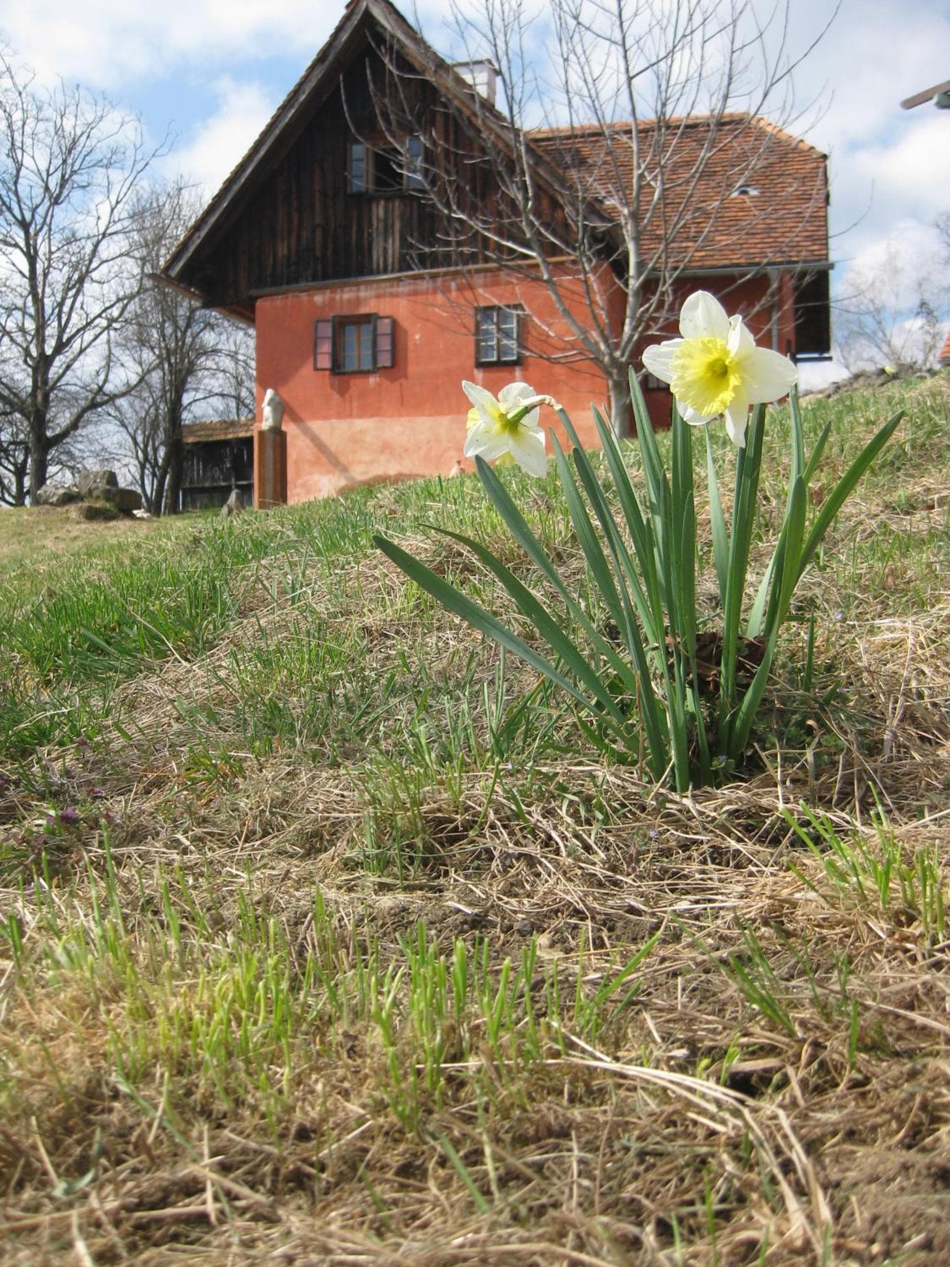 Photo 17