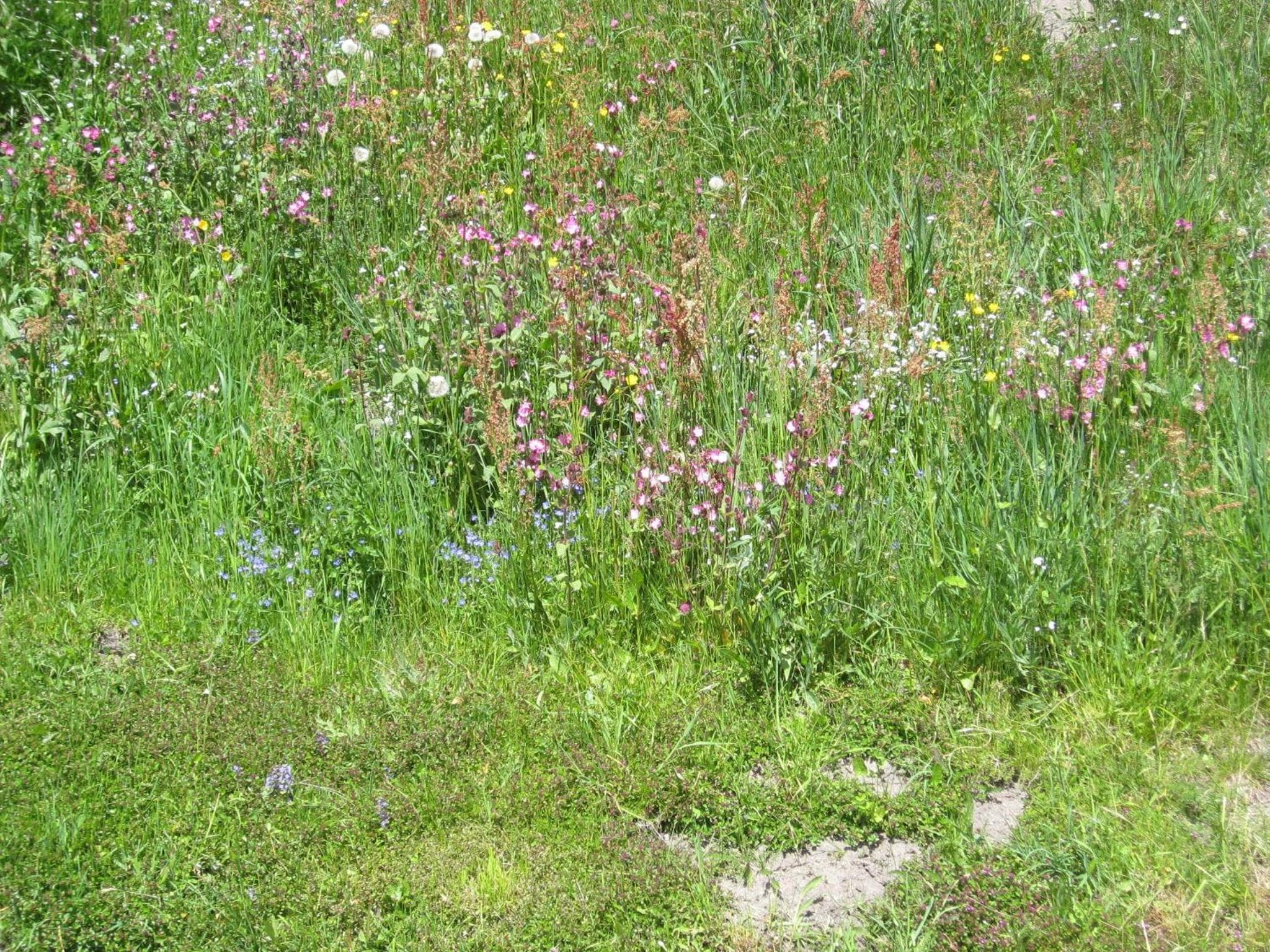 Photo 45