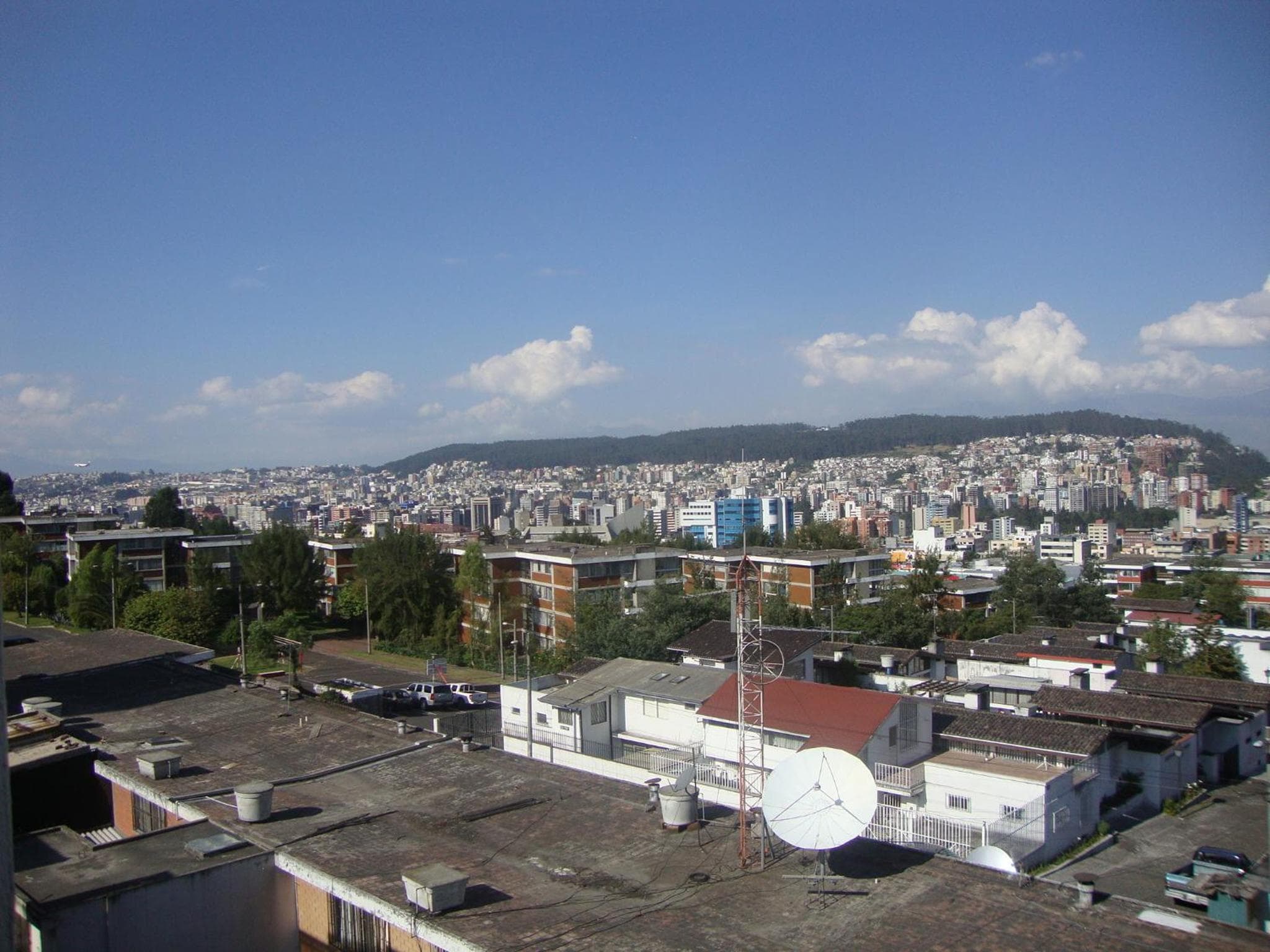 Photo 42